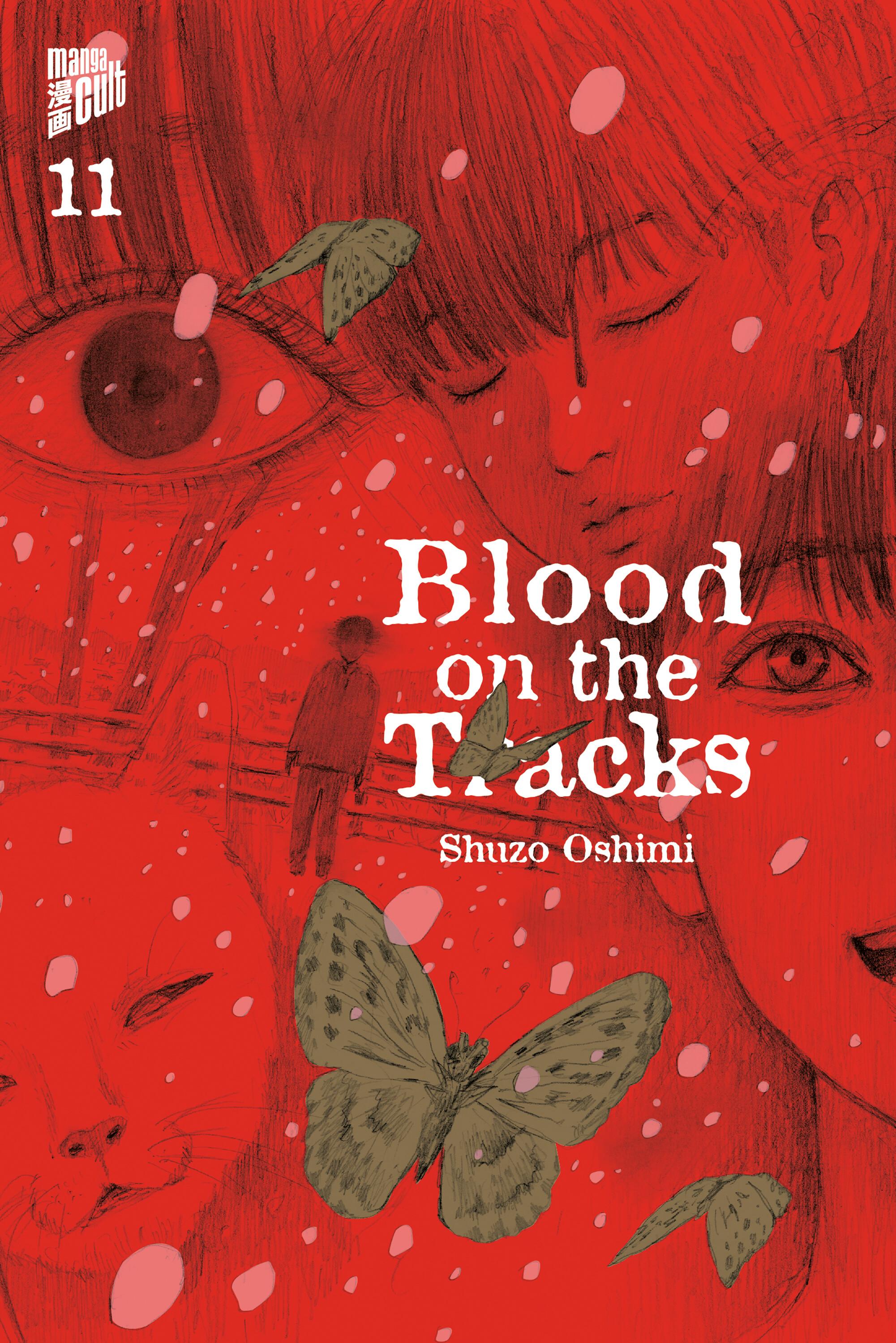 Vorderes Coverbild Blood on the Tracks 11