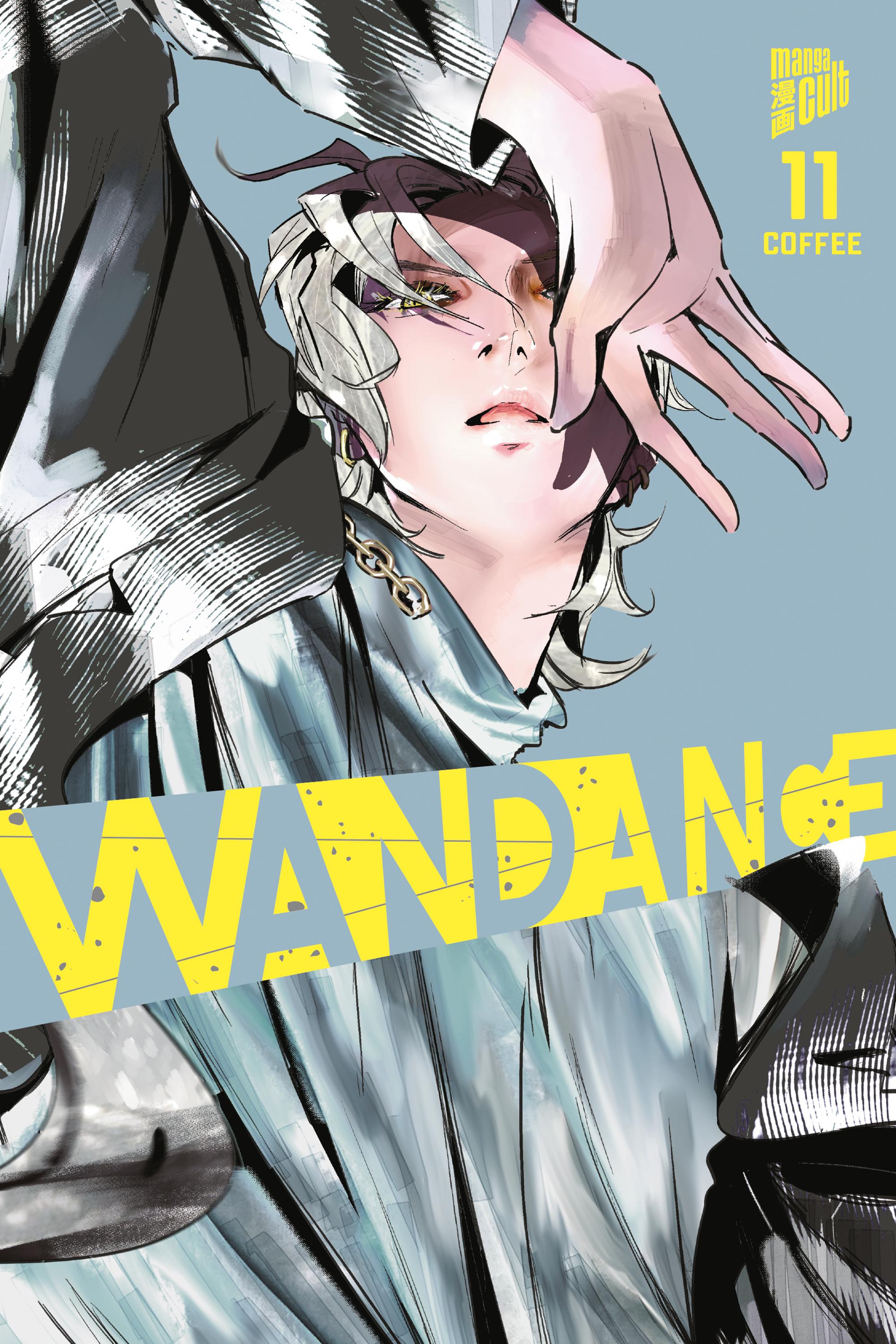 Vorderes Coverbild Wandance 11
