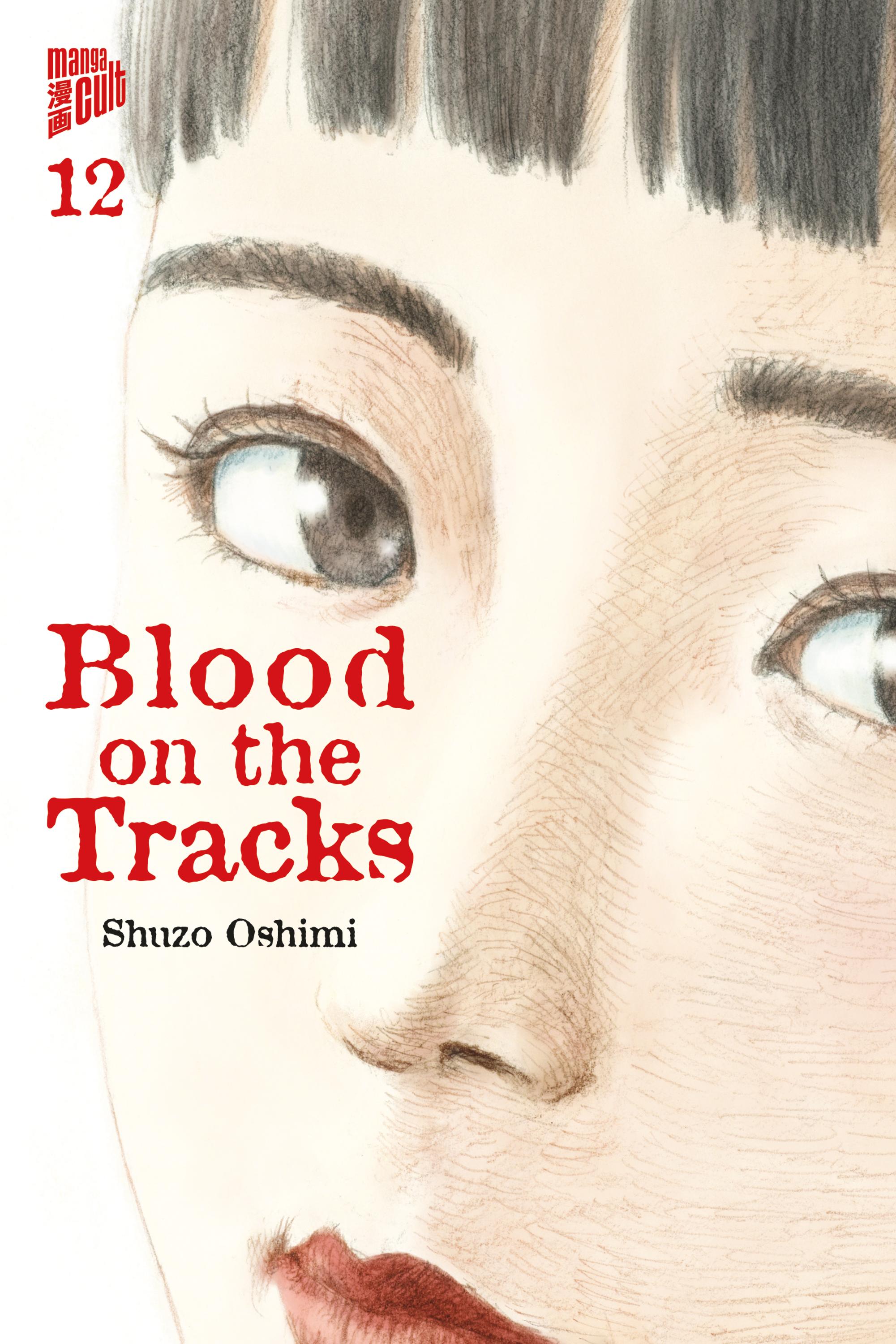 Vorderes Coverbild Blood on the Tracks 12