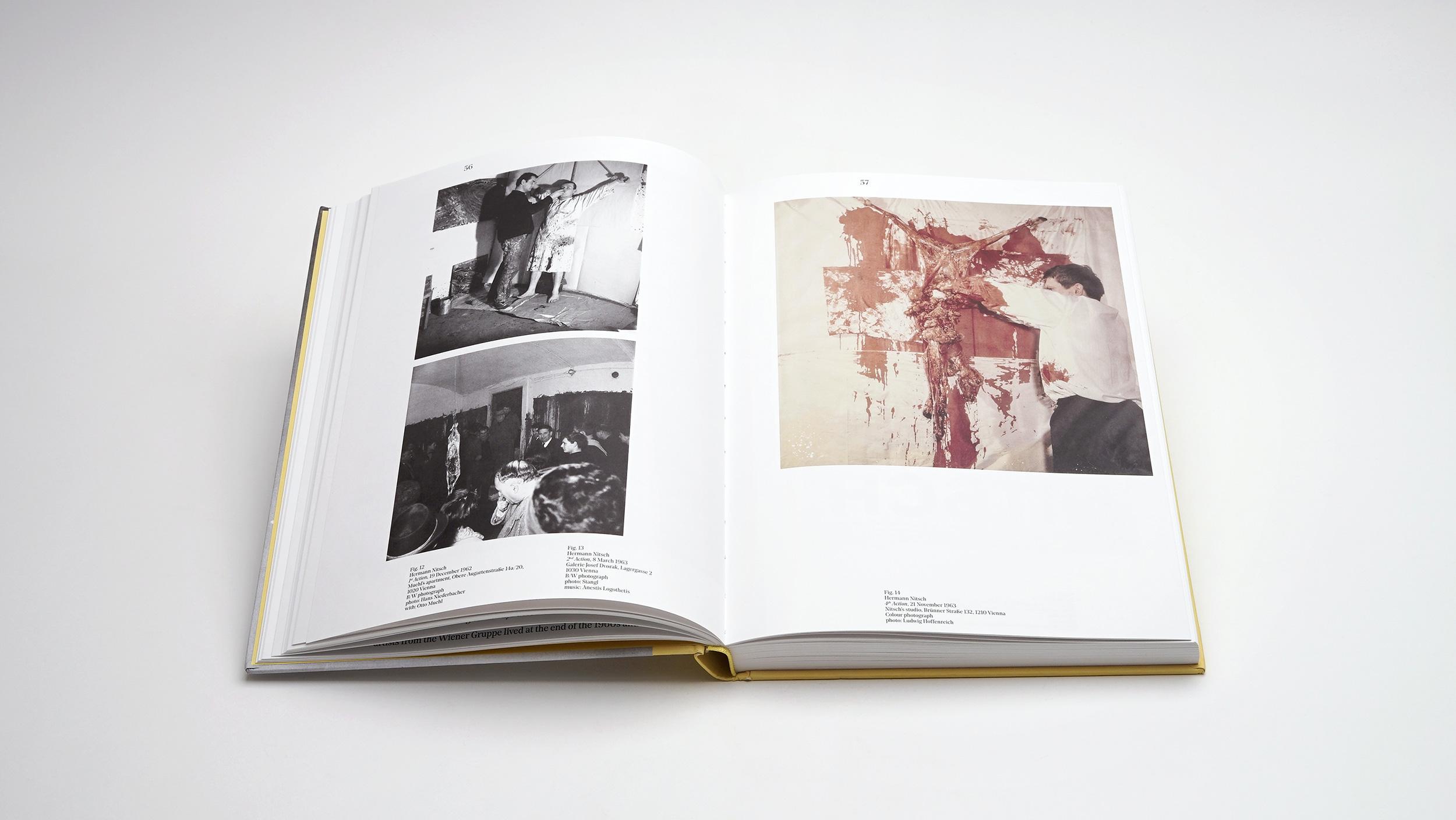 Beispielinhalt (Bild) What is Vienna Actionism?