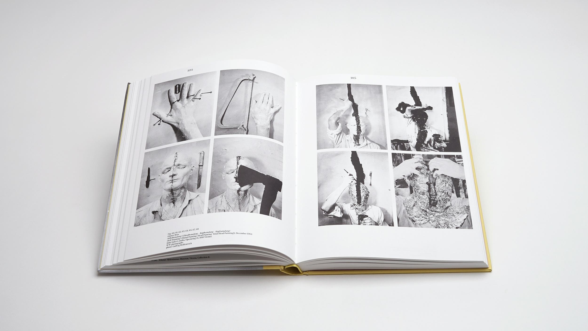 Beispielinhalt (Bild) What is Vienna Actionism?