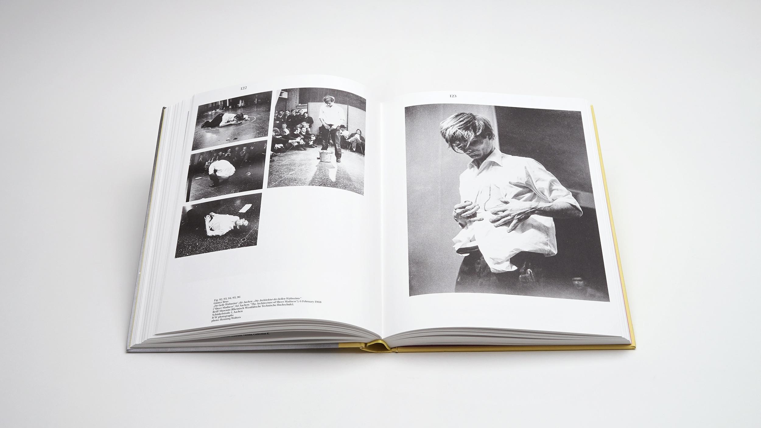 Beispielinhalt (Bild) What is Vienna Actionism?