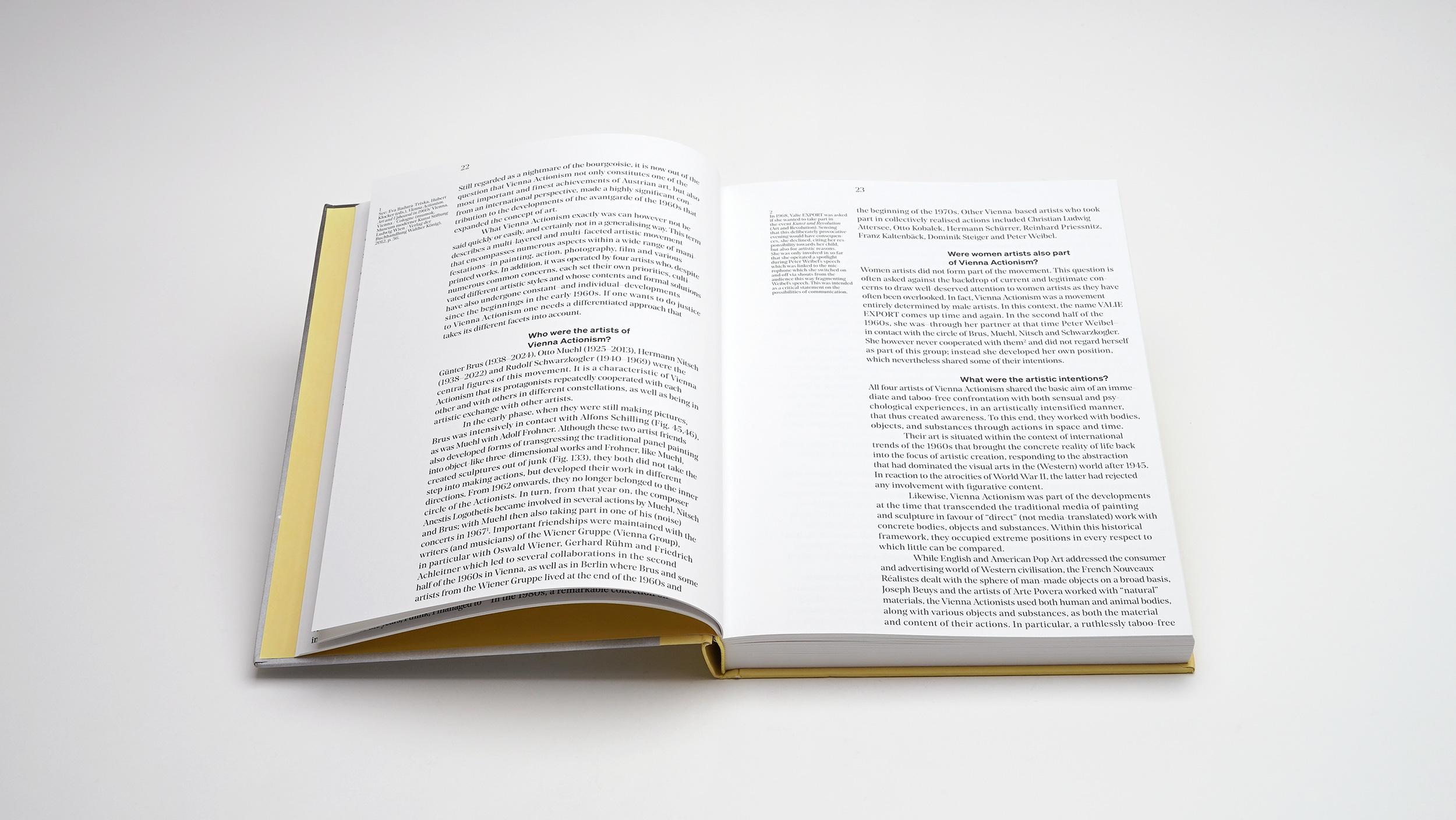 Beispielinhalt (Bild) What is Vienna Actionism?