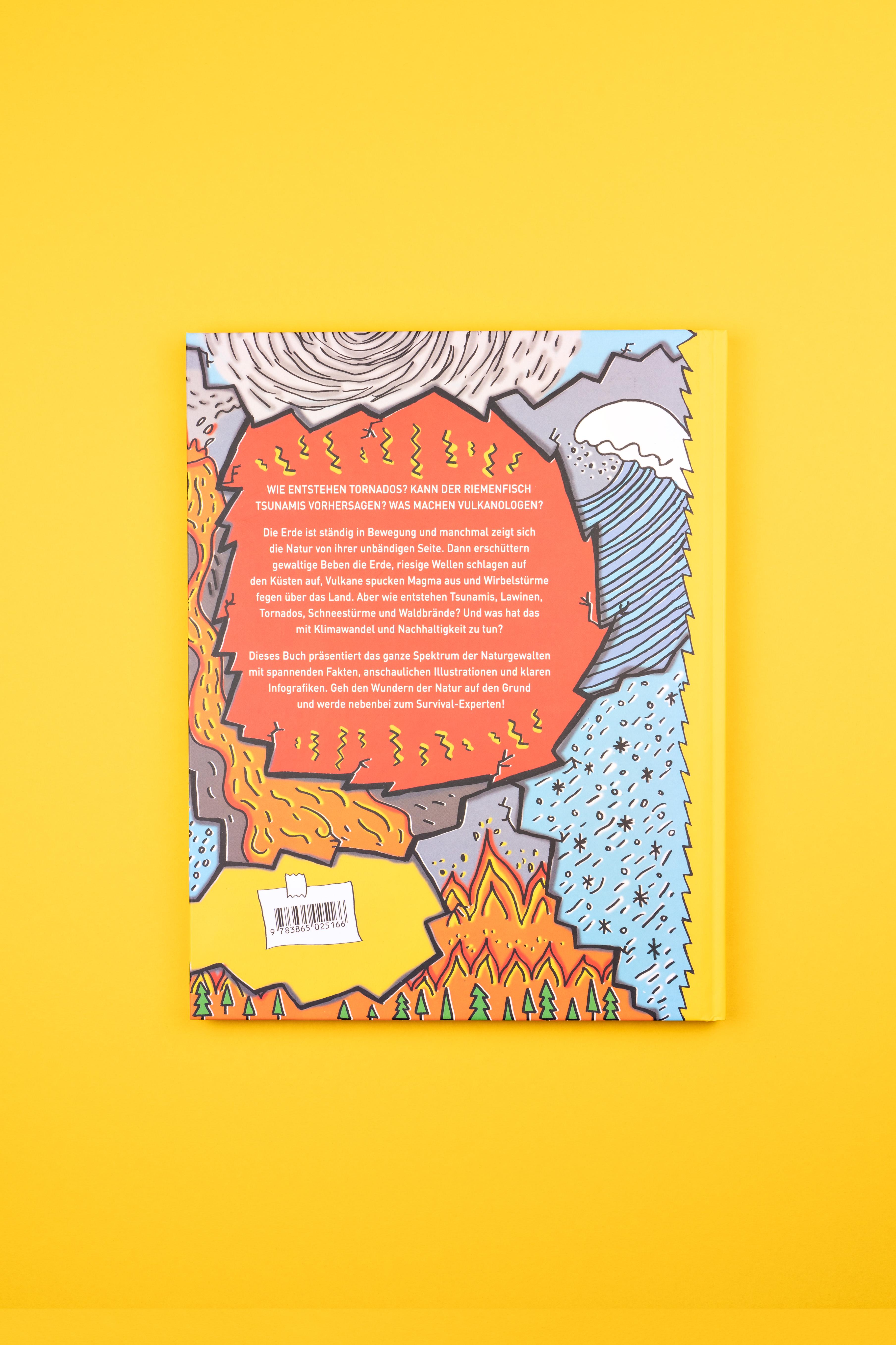 Rückseitencover Wenn die Erde bebt!