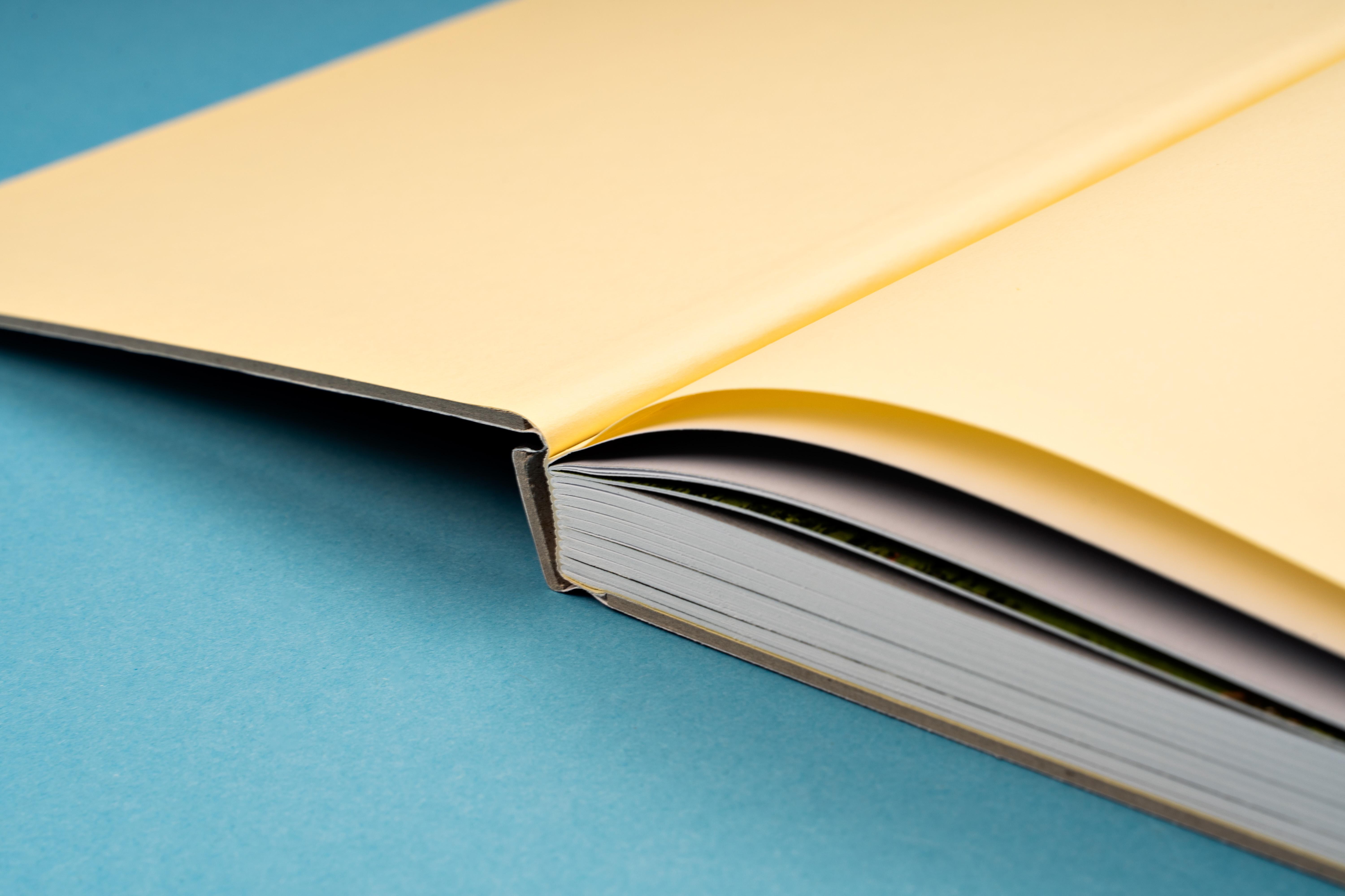 Beispielinhalt (Bild) Karl Hofer