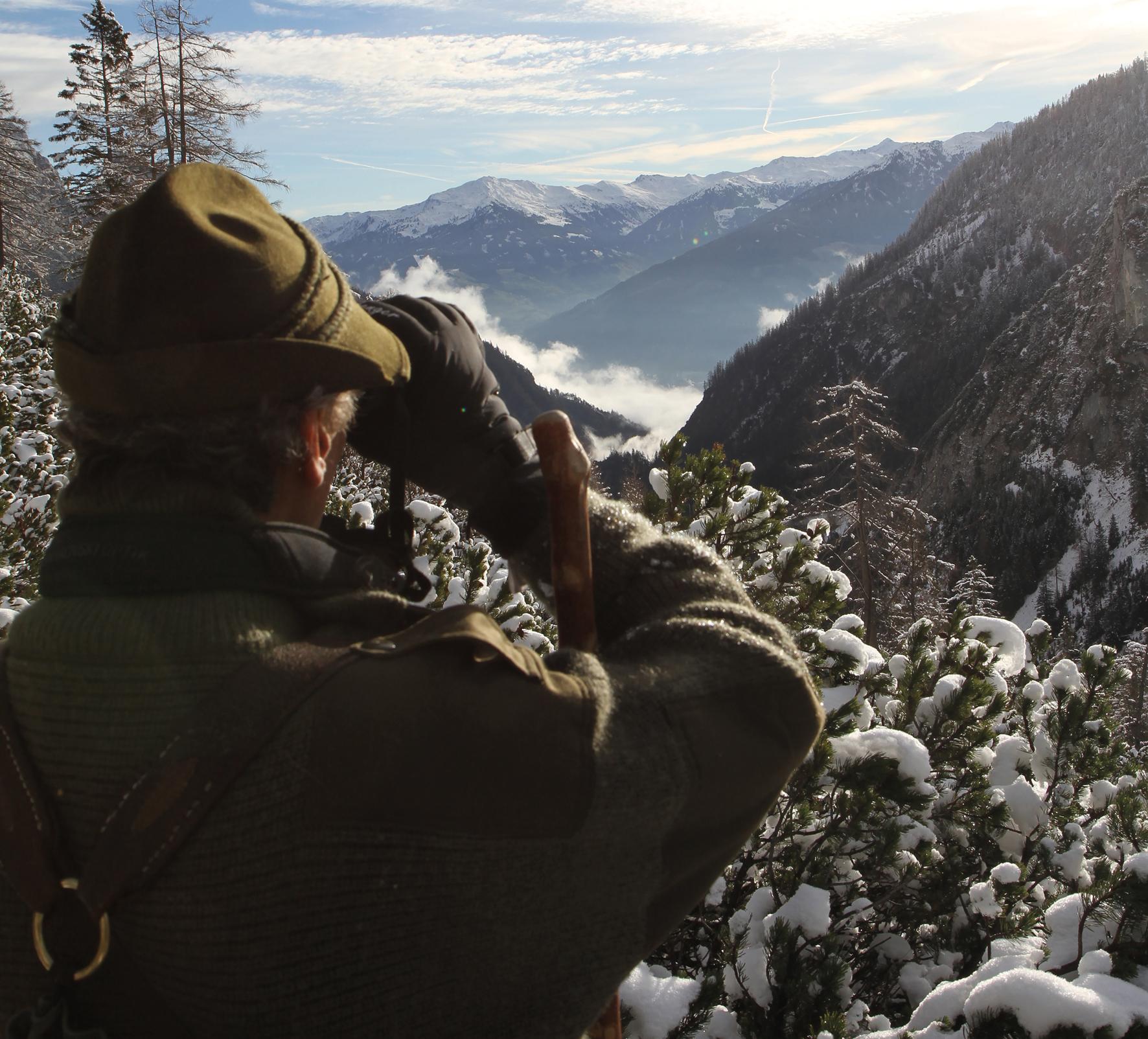 Beispielinhalt (Bild) Hunting - The Ultimate Book