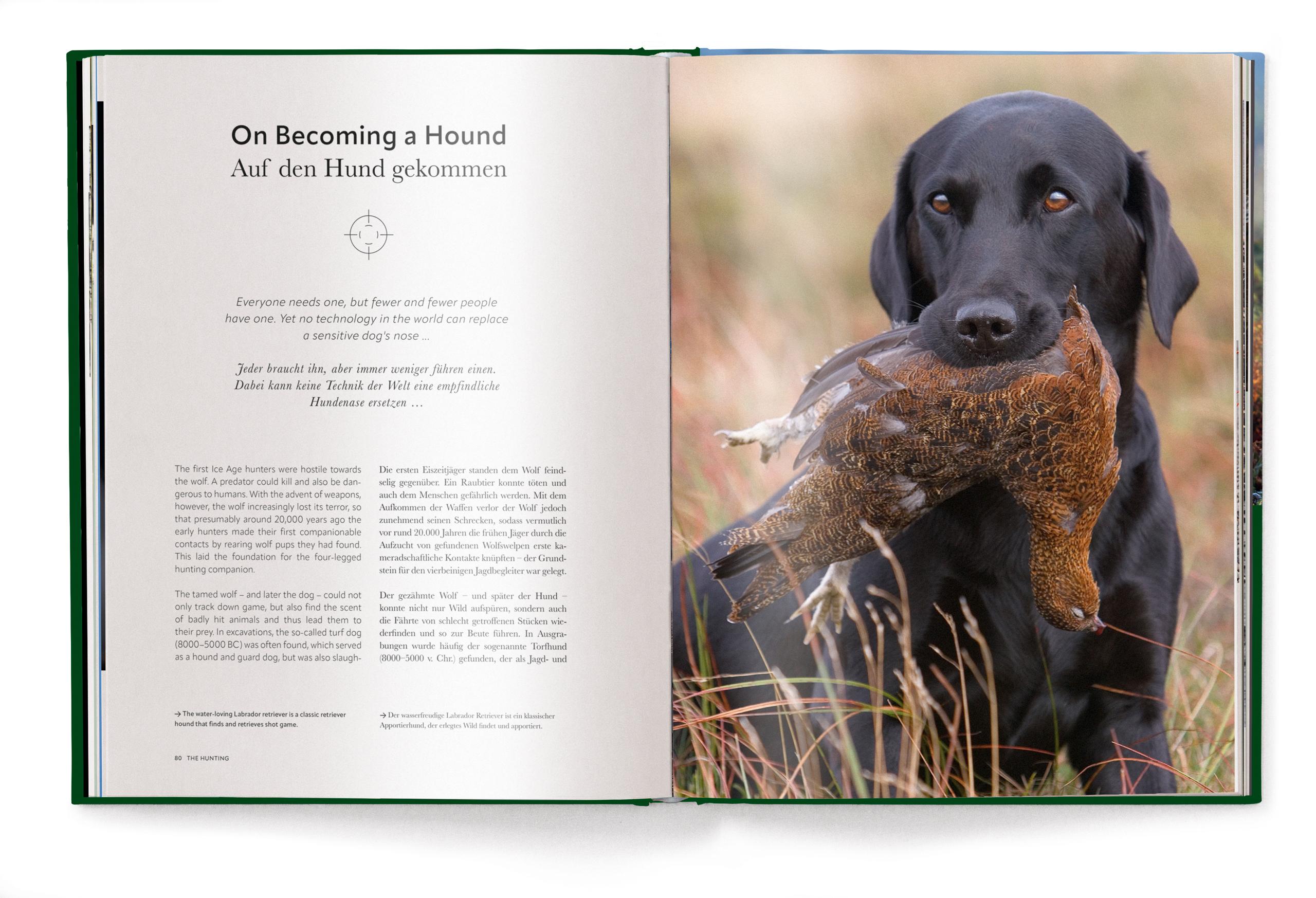 Beispielinhalt (Bild) Jagd - Das ultimative Buch