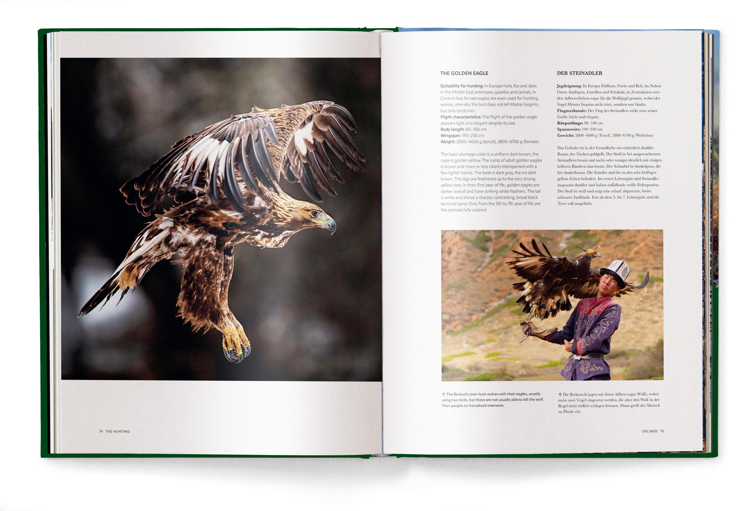 Beispielinhalt (Bild) Jagd - Das ultimative Buch