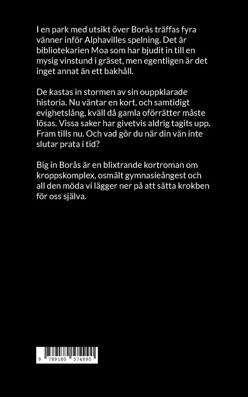 Rückseitencover Big in Borås