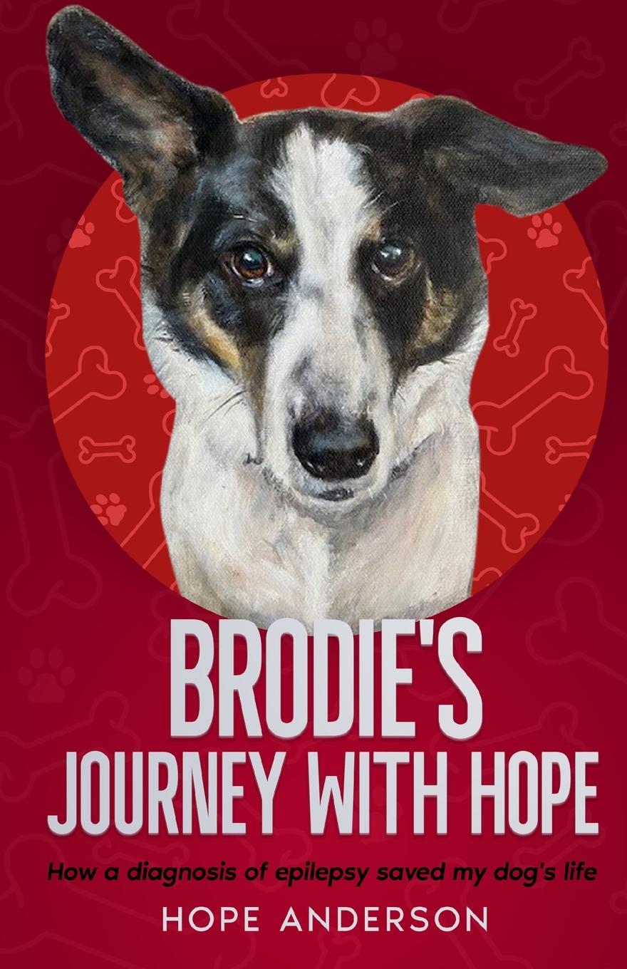 Vorderes Coverbild Brodie's Journey With Hope