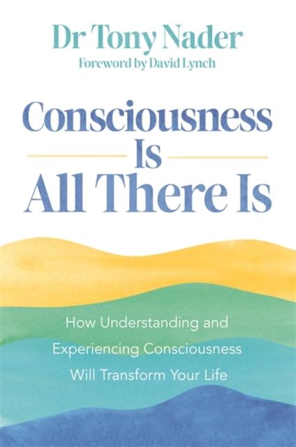 Vorderes Coverbild Consciousness Is All There Is
