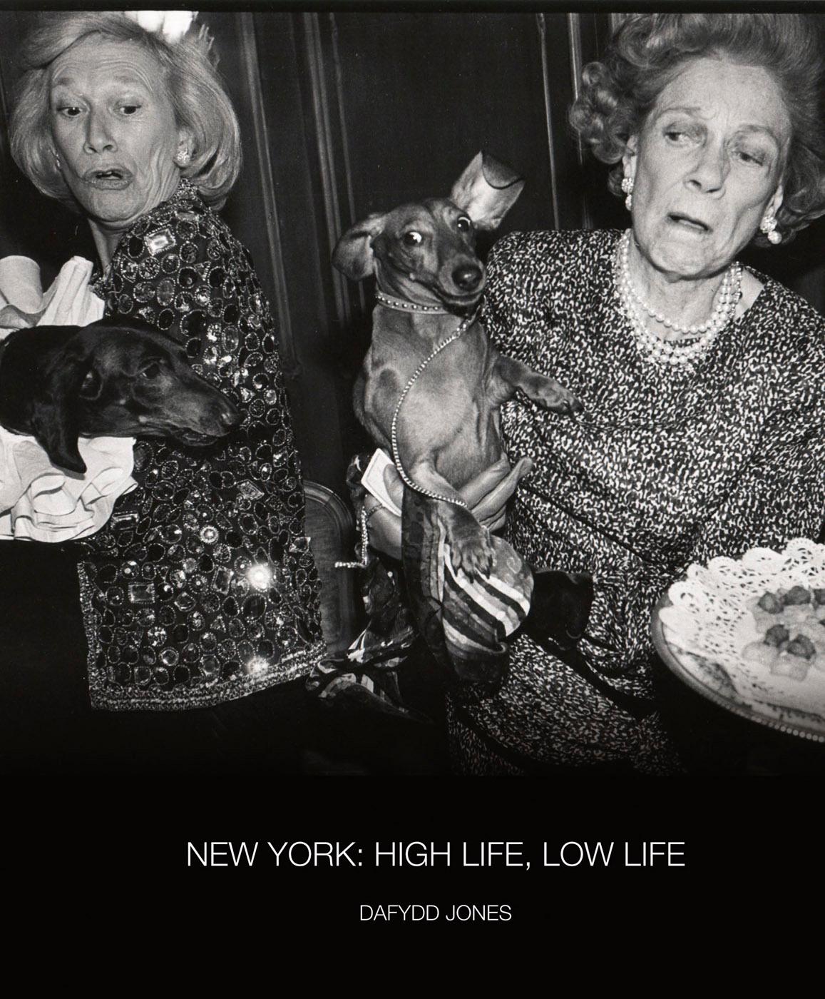 Vorderes Coverbild New York: High Life / Low Life