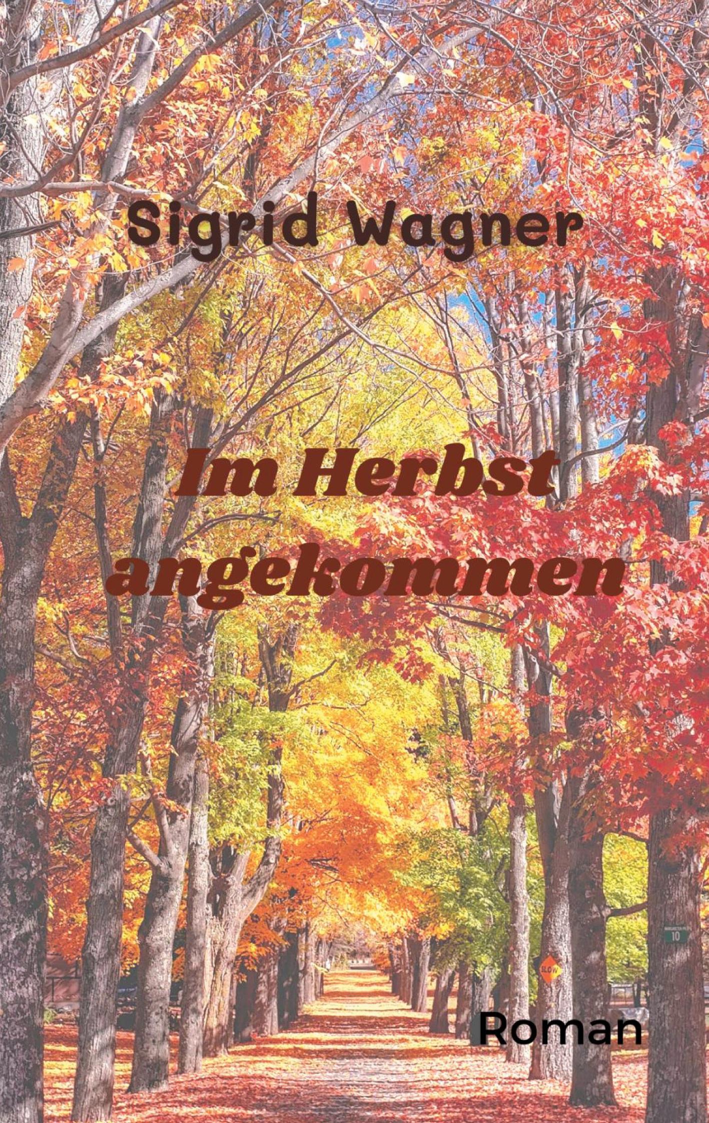 Vorderes Coverbild Im Herbst angekommen