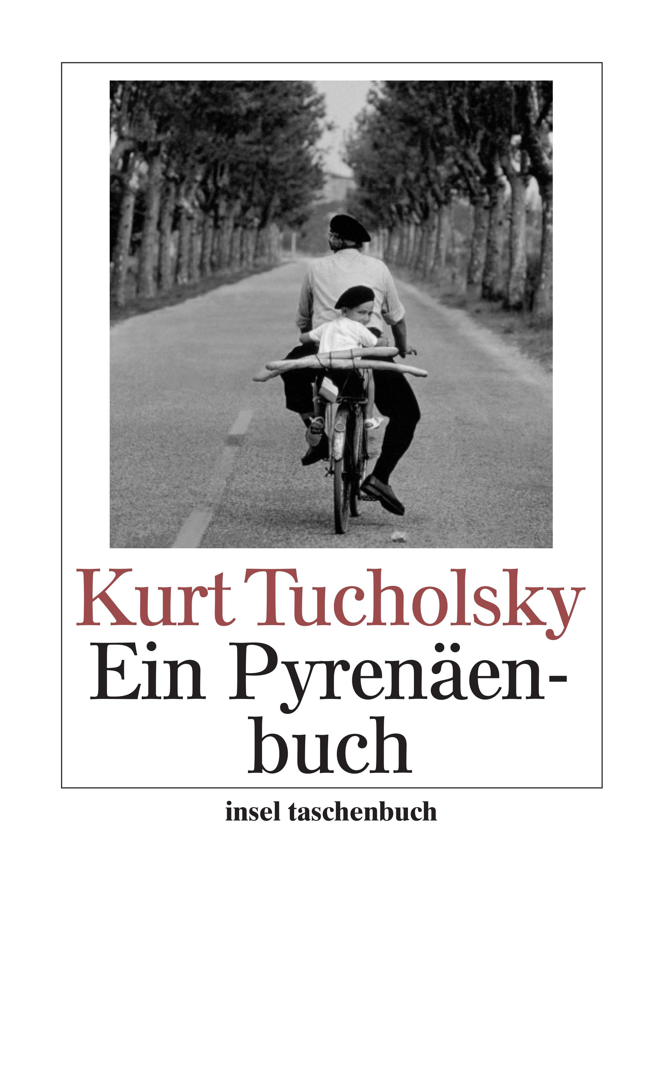 Vorderes Coverbild Ein Pyrenäenbuch