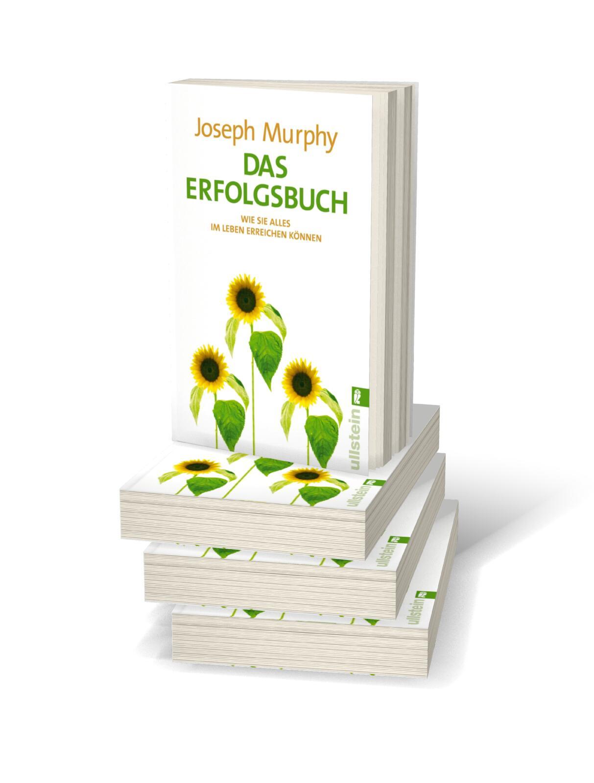 Beispielinhalt (Bild) Das Erfolgsbuch