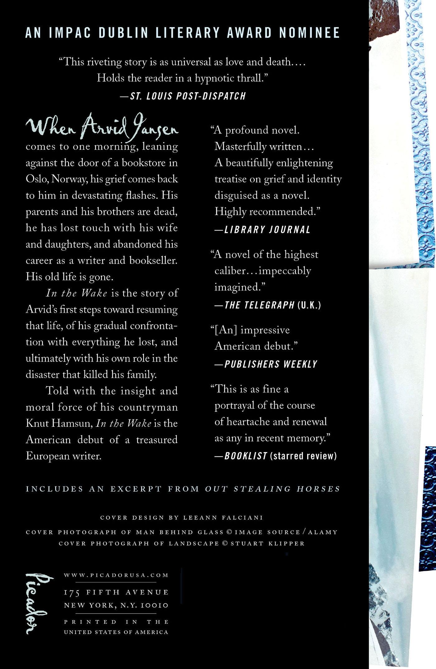 Rückseitencover In the Wake