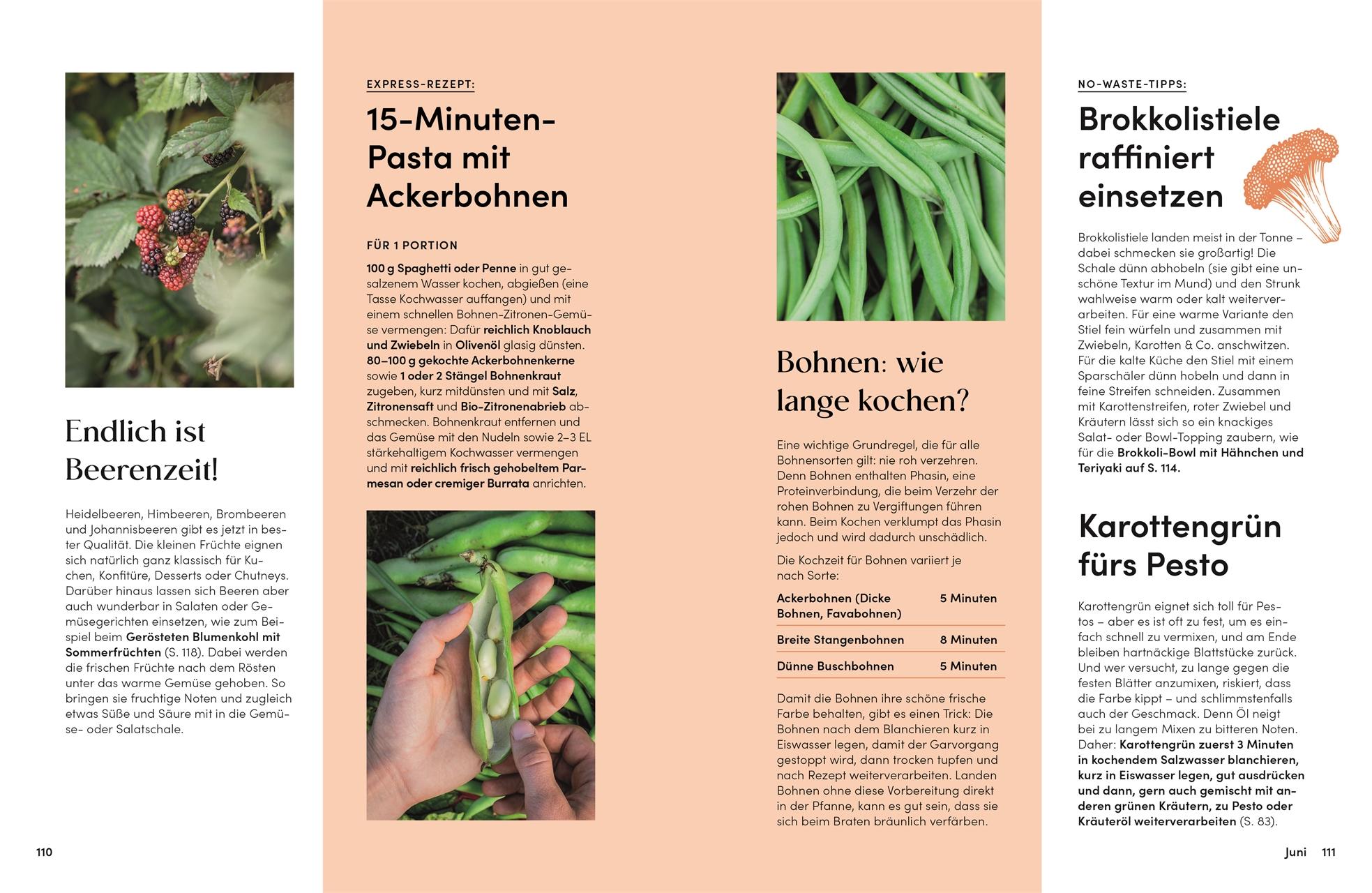 Beispielinhalt (Bild) Das Gemüsekisten-Kochbuch