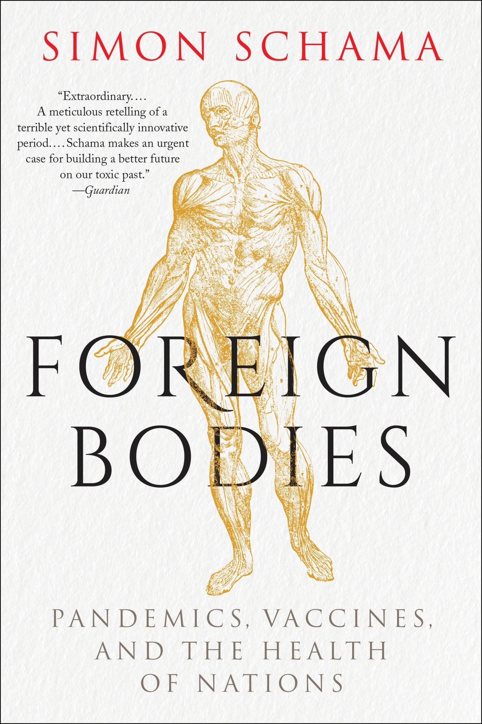 Vorderes Coverbild Foreign Bodies