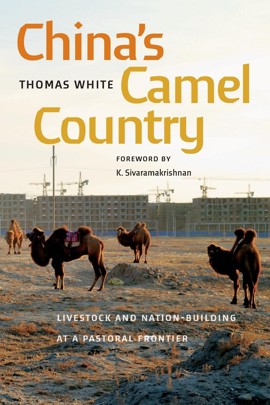 Vorderes Coverbild China's Camel Country