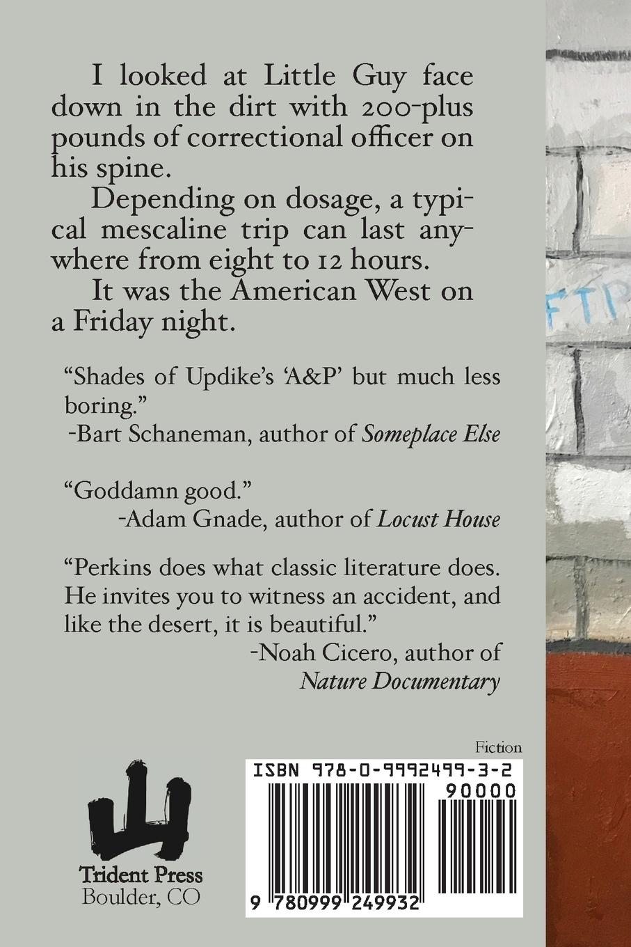 Rückseitencover Cactus