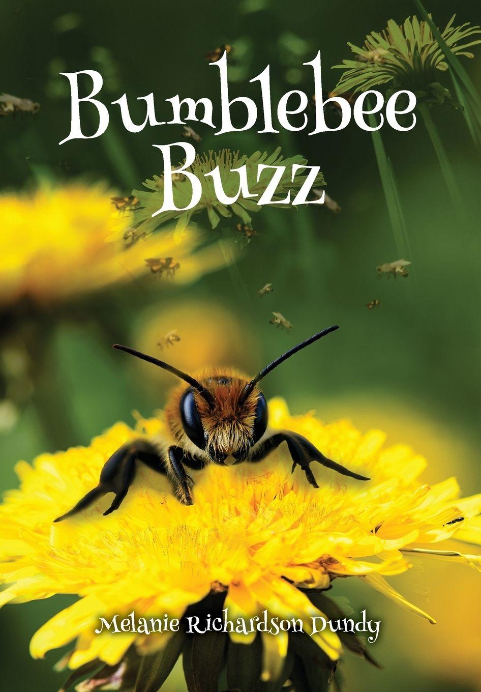 Vorderes Coverbild BumbleBeeBuzz