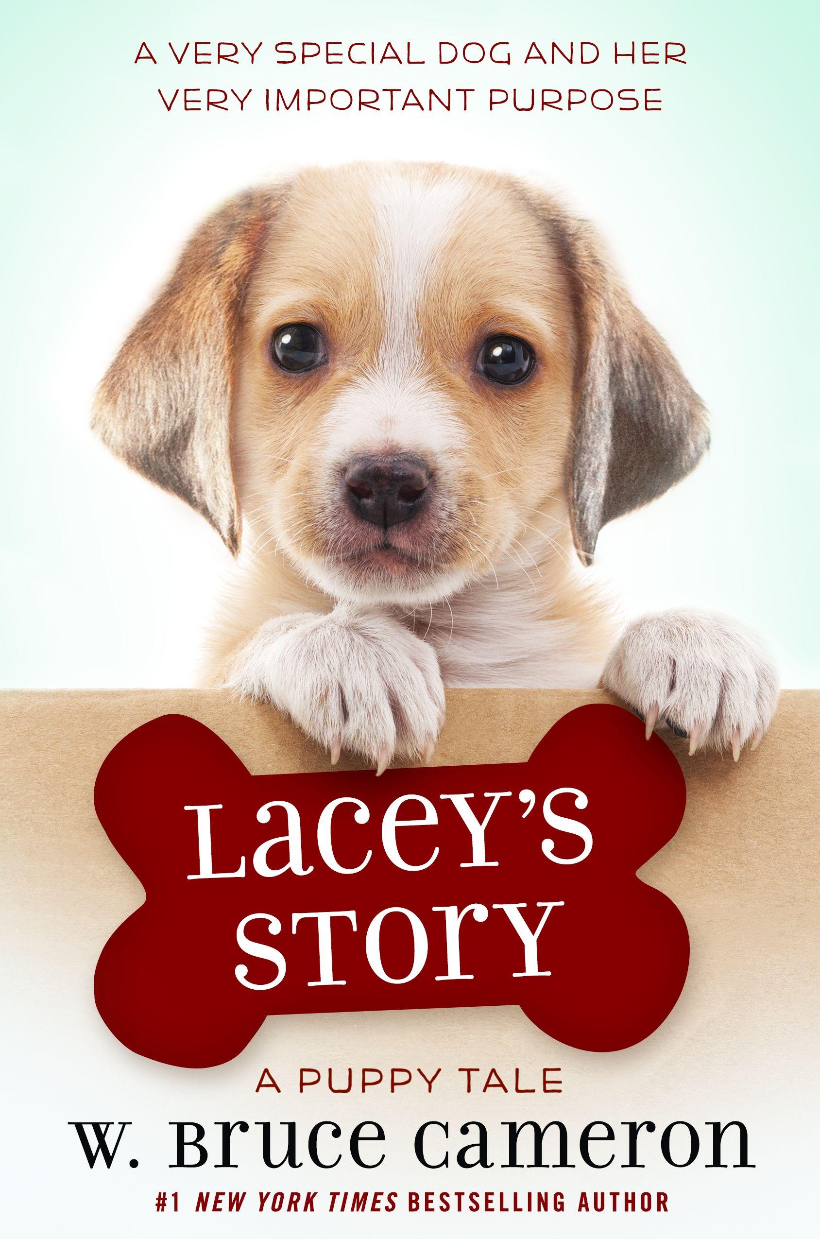 Vorderes Coverbild Lacey's Story