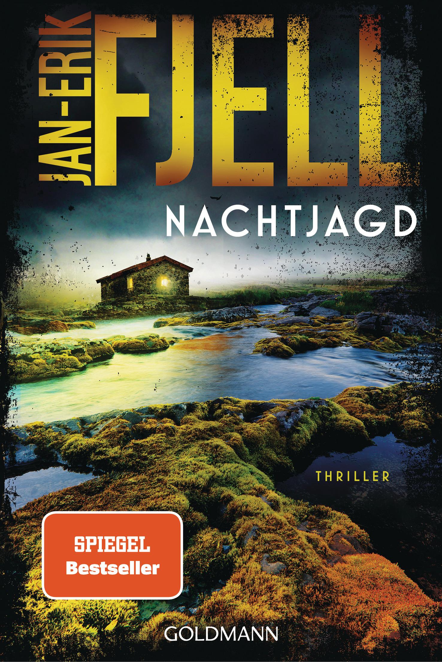 Vorderes Coverbild Nachtjagd