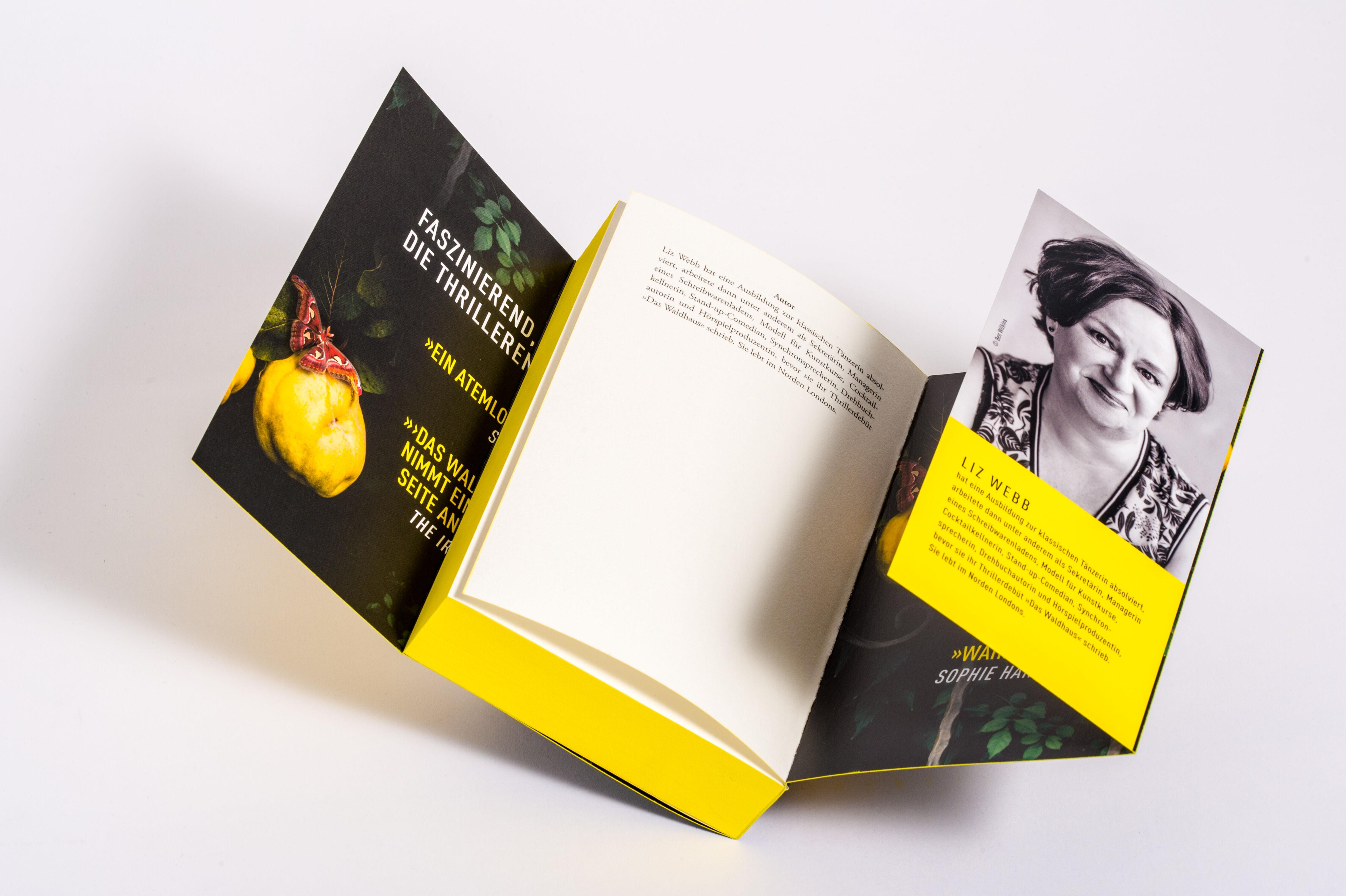 Beispielinhalt (Bild) Das Waldhaus