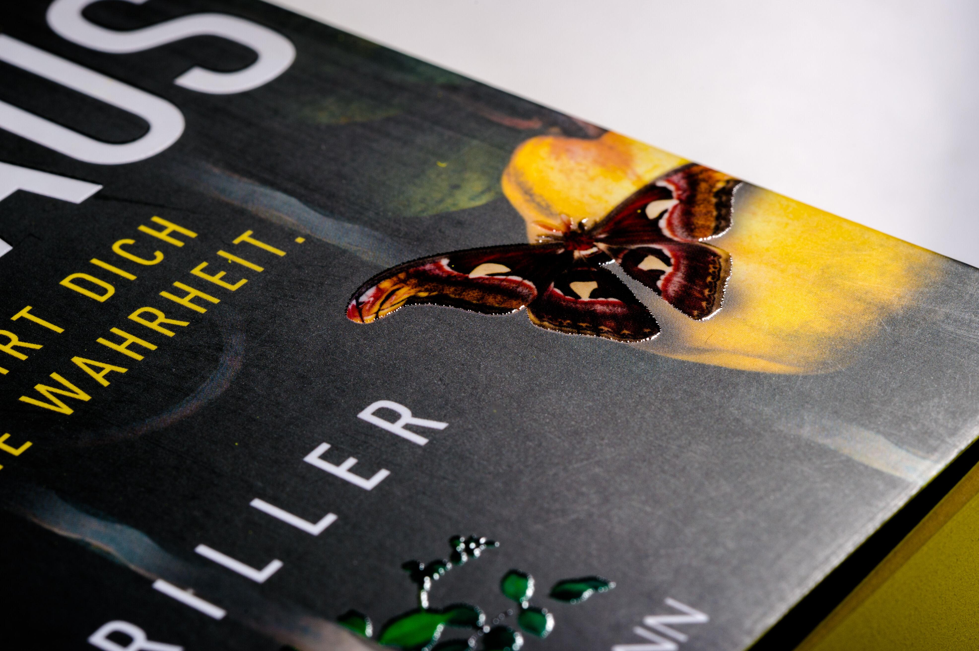 Beispielinhalt (Bild) Das Waldhaus