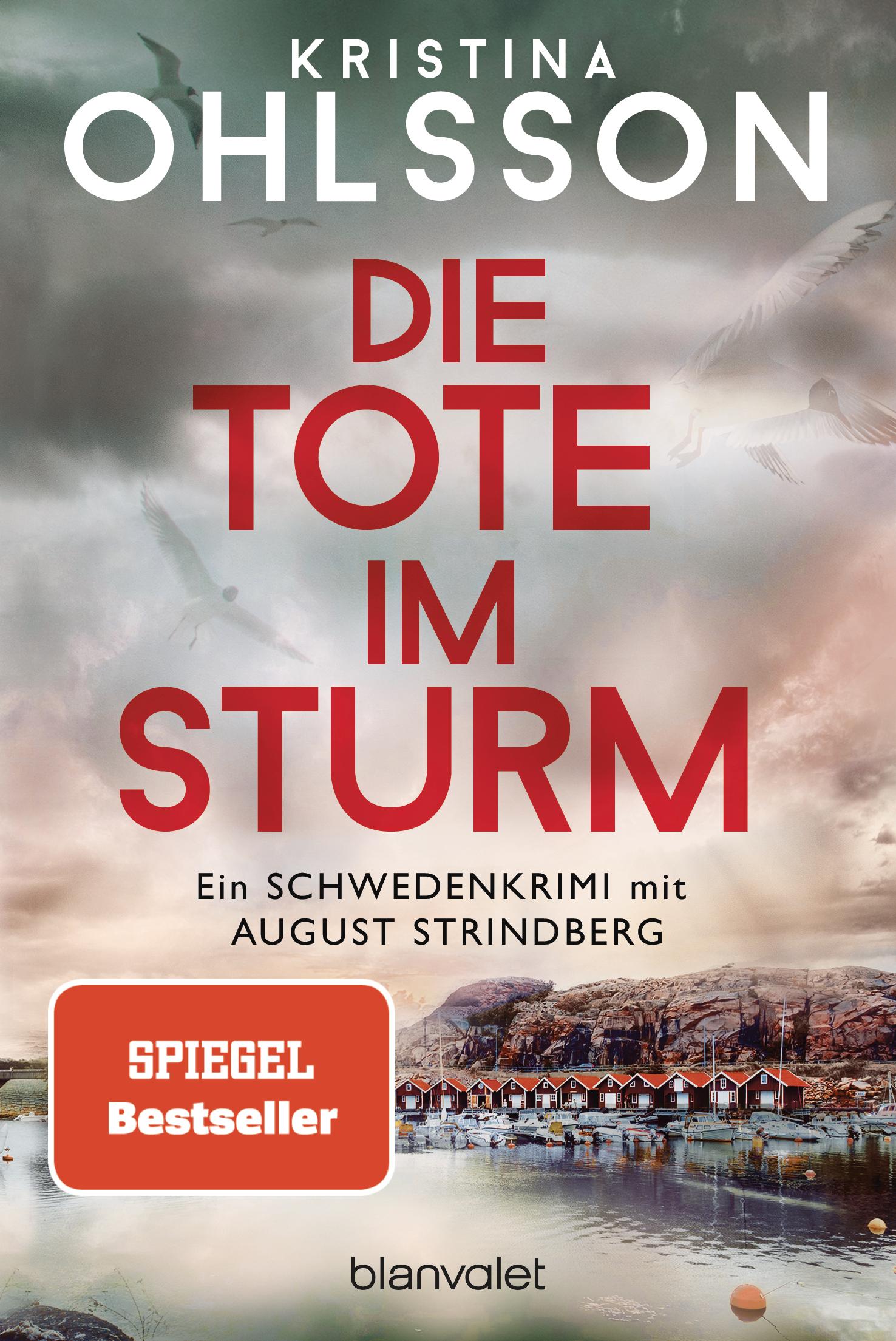 Vorderes Coverbild Die Tote im Sturm