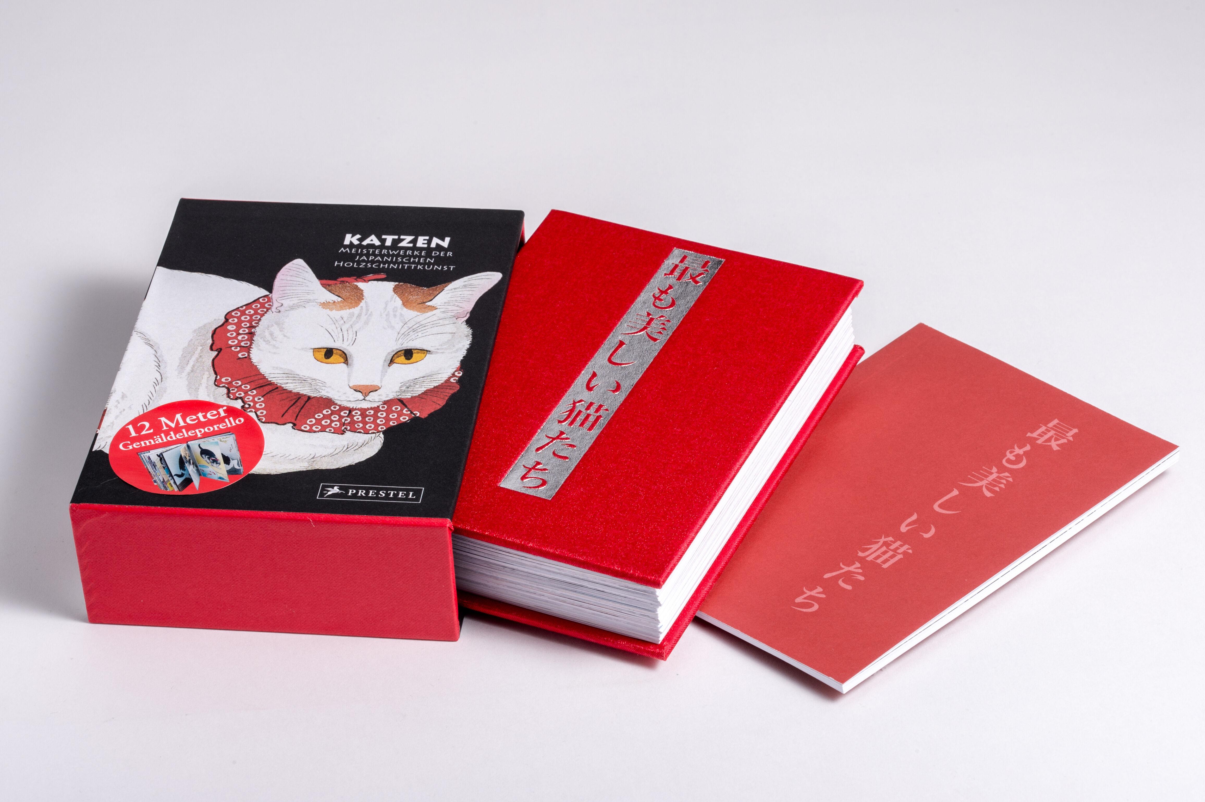 Beispielinhalt (Bild) Katzen