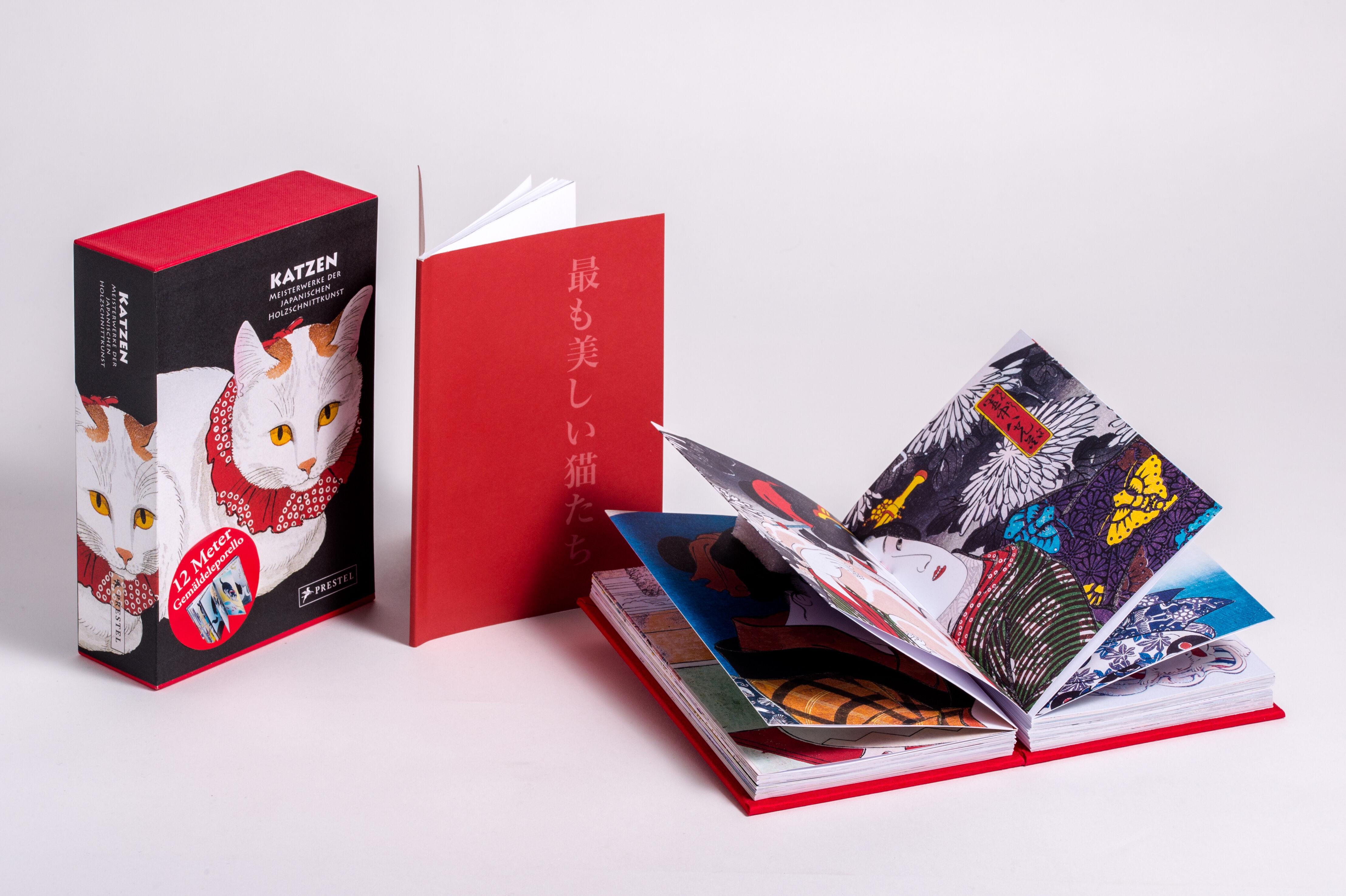 Beispielinhalt (Bild) Katzen