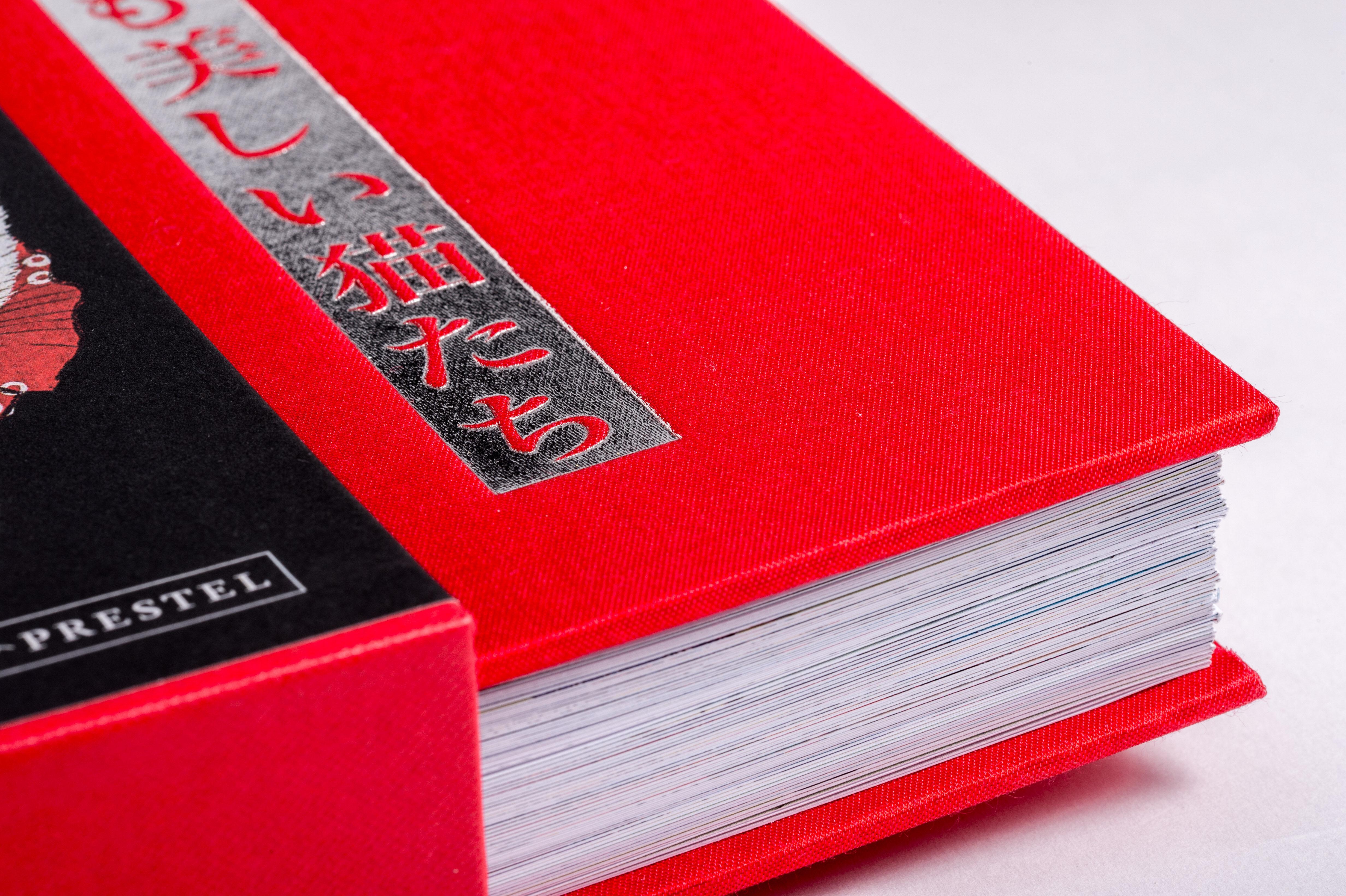 Beispielinhalt (Bild) Katzen