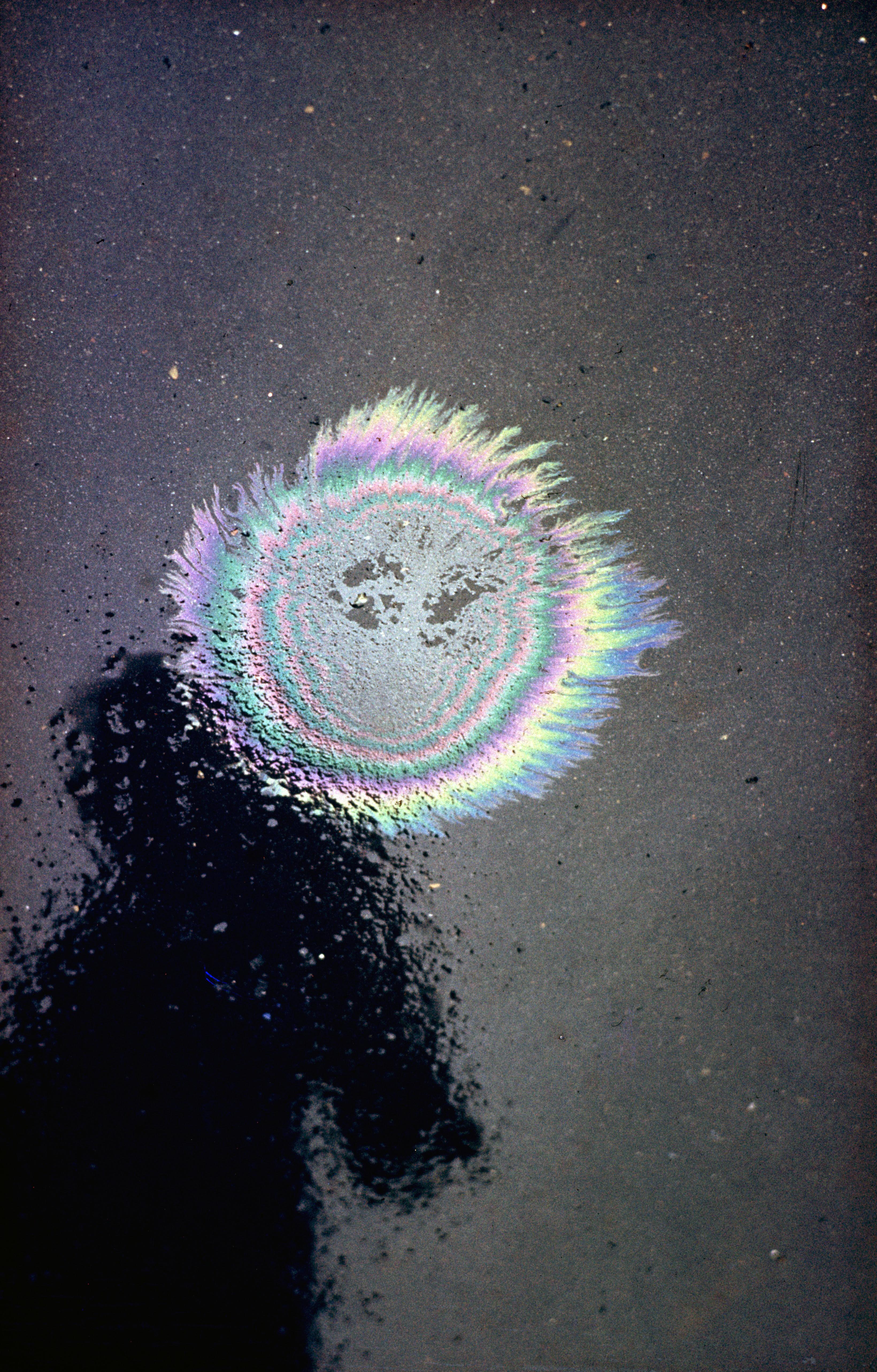 Beispielinhalt (Bild) Ernst Haas: Abstract