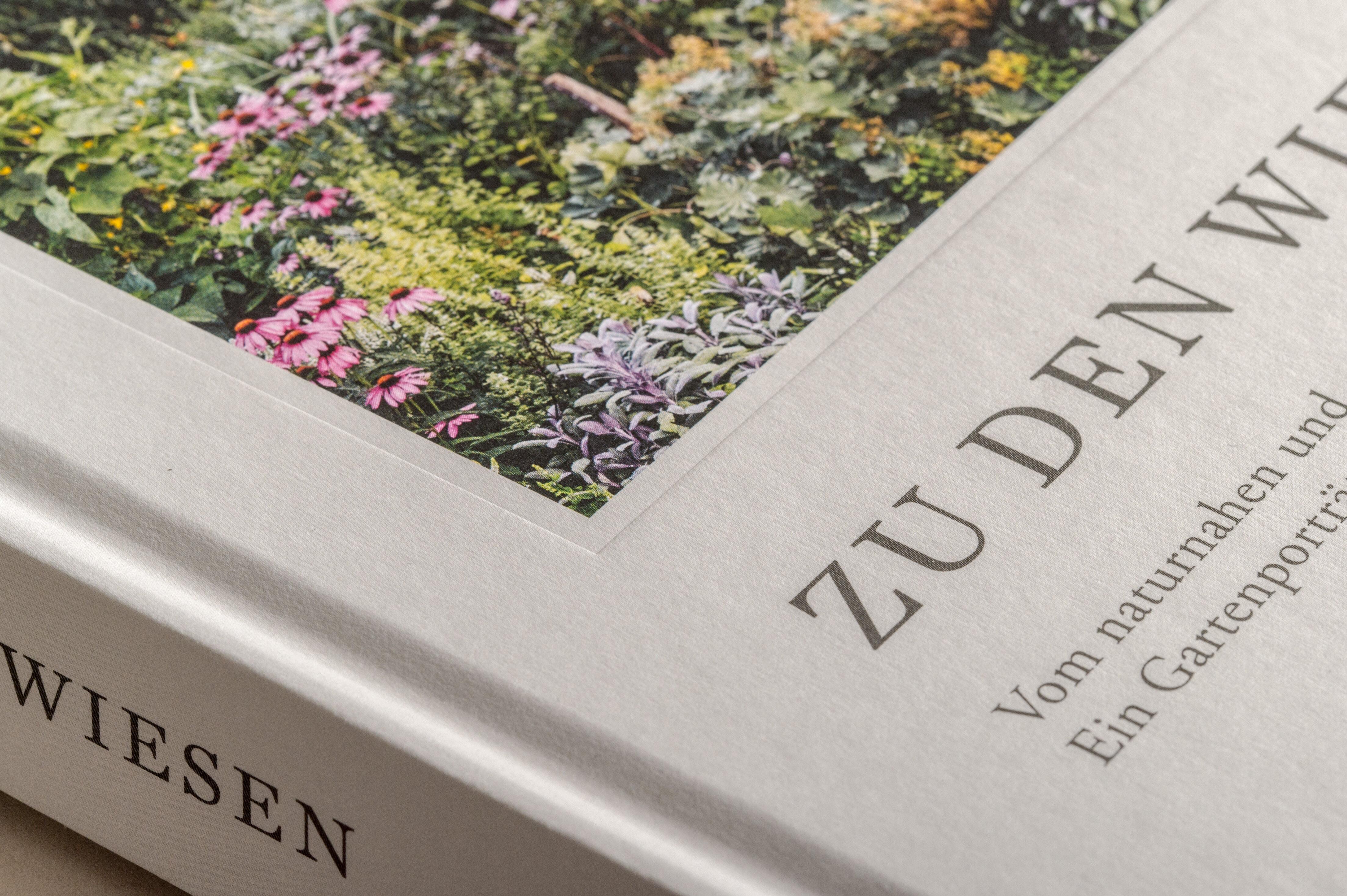 Beispielinhalt (Bild) Zu den Wiesen