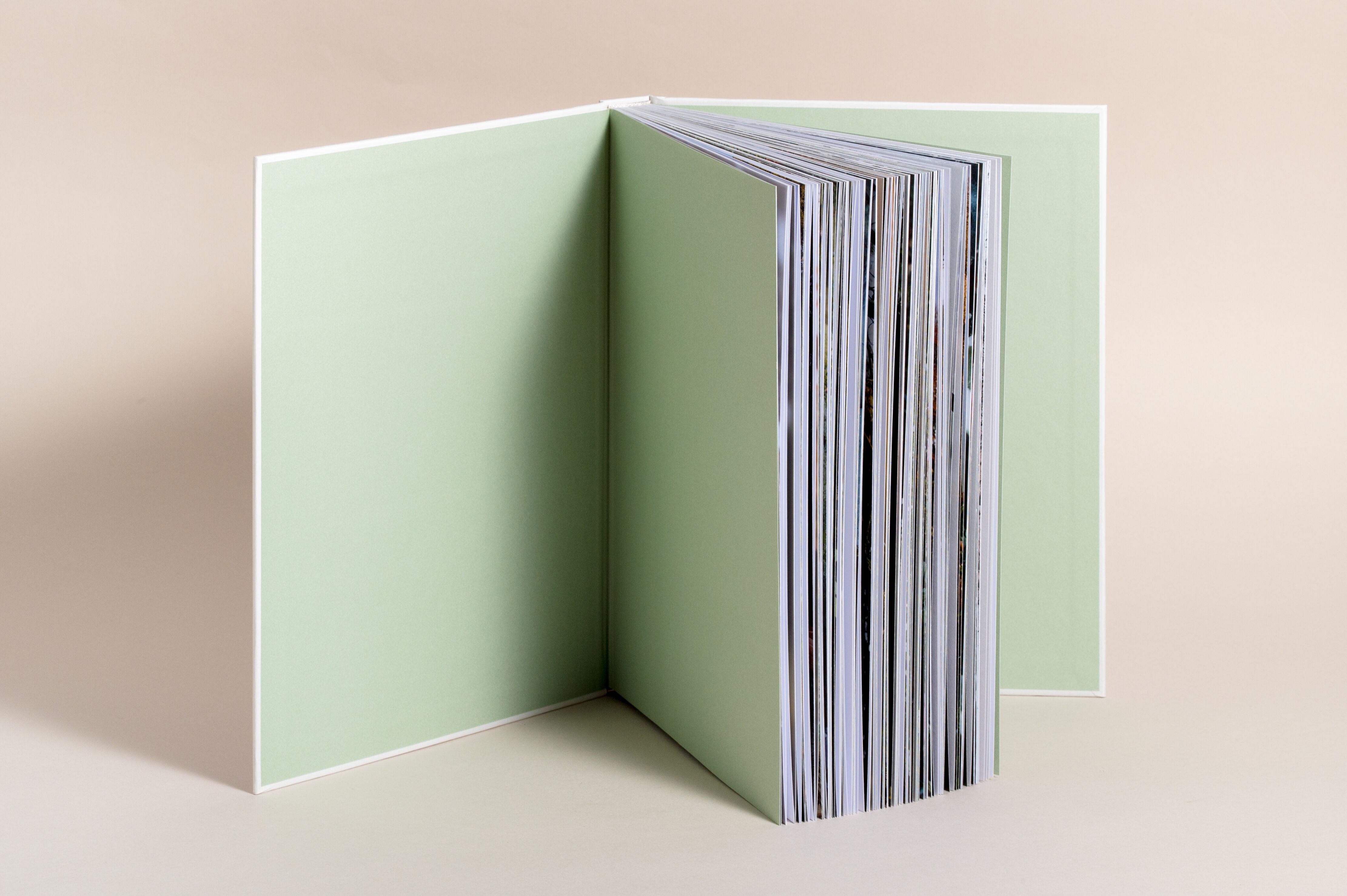 Beispielinhalt (Bild) Zu den Wiesen