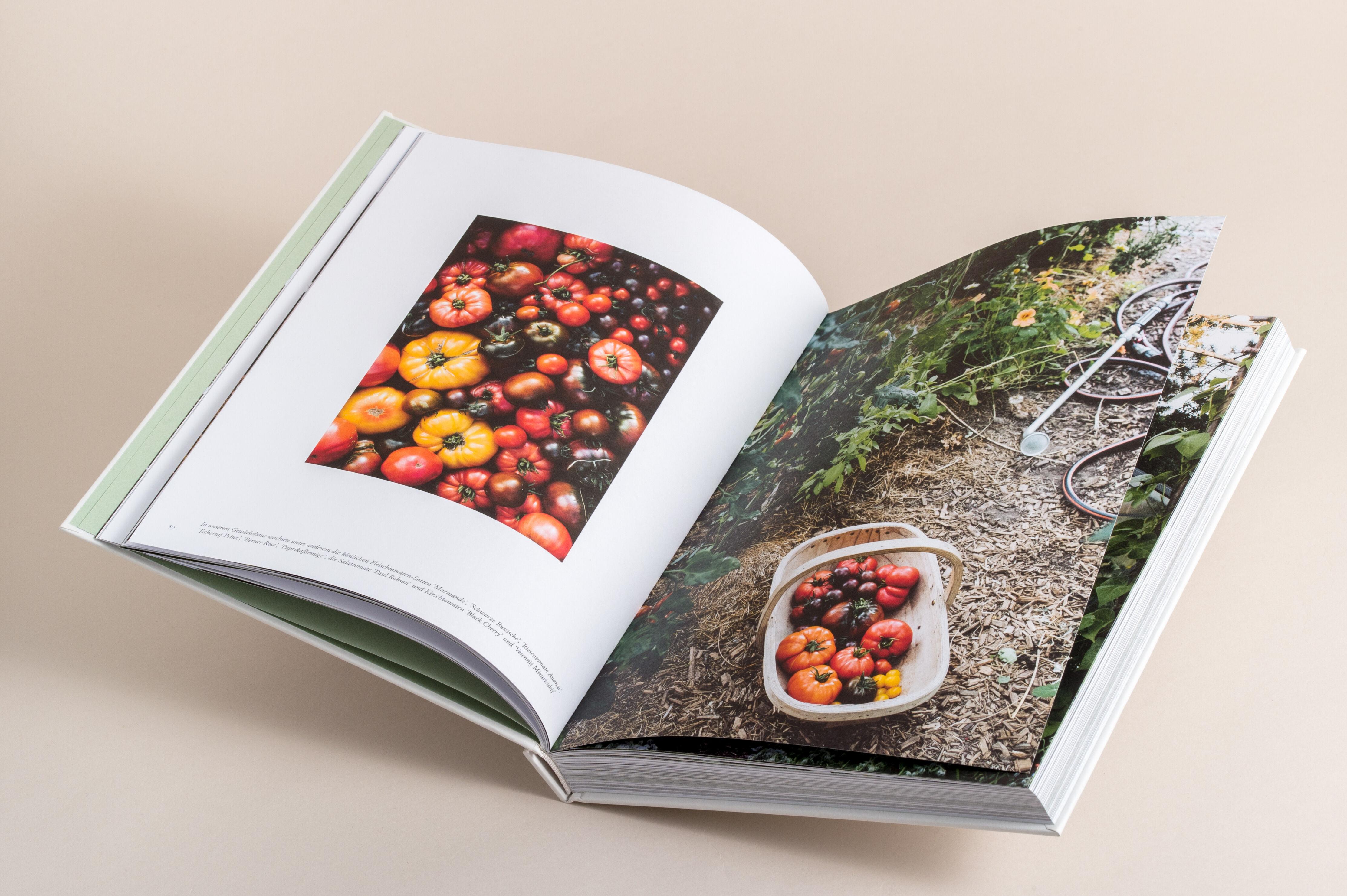 Beispielinhalt (Bild) Zu den Wiesen