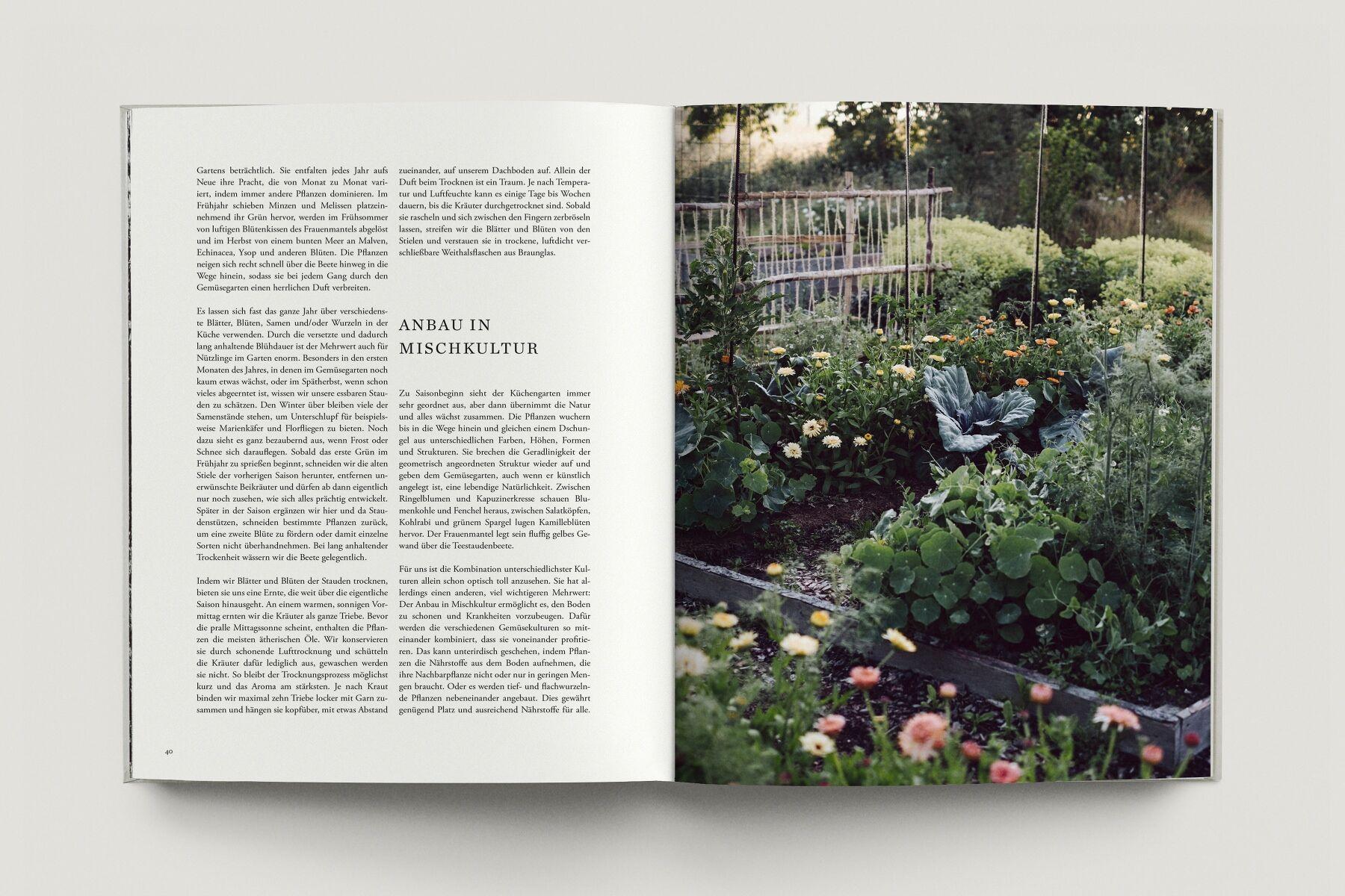 Beispielinhalt (Bild) Zu den Wiesen