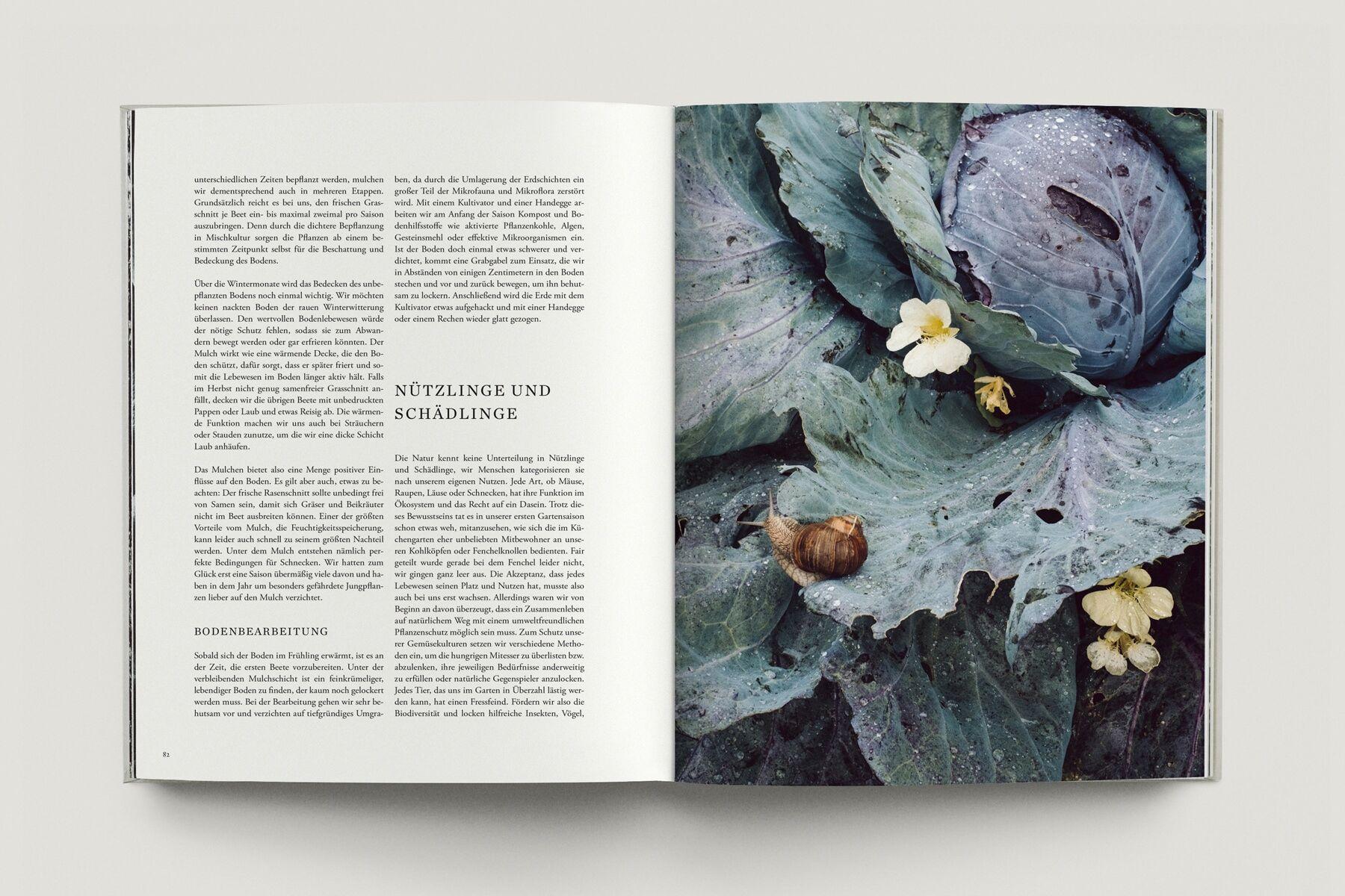 Beispielinhalt (Bild) Zu den Wiesen