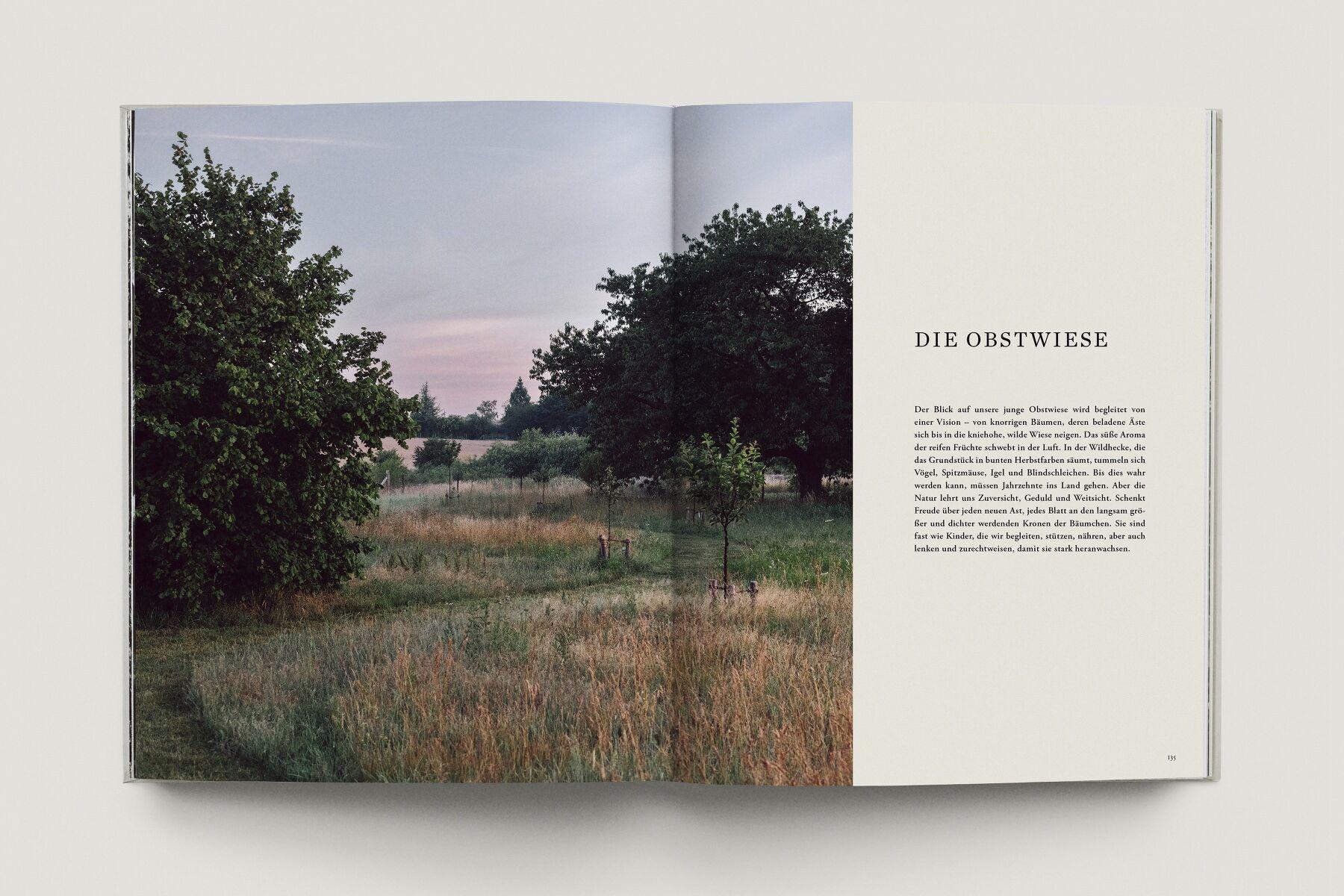 Beispielinhalt (Bild) Zu den Wiesen