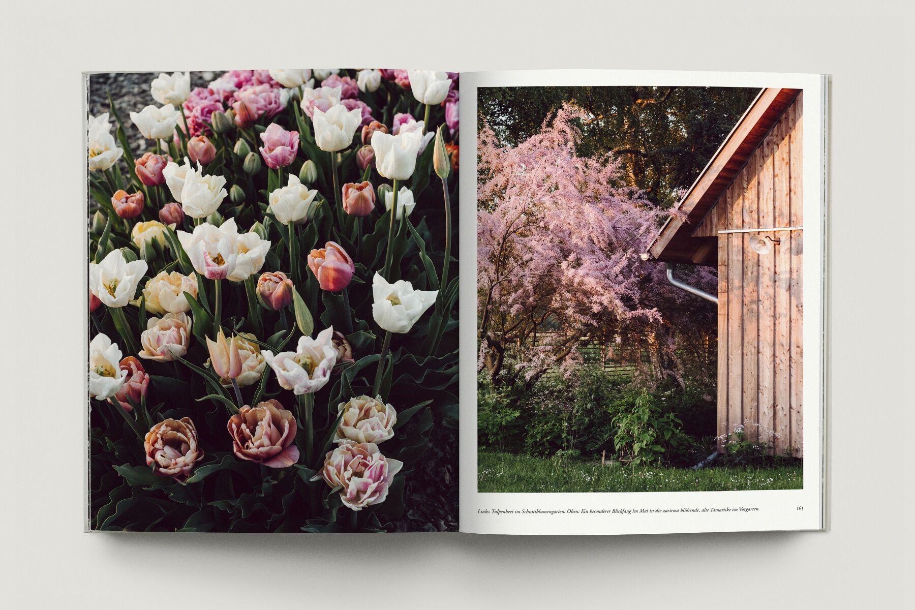 Beispielinhalt (Bild) Zu den Wiesen