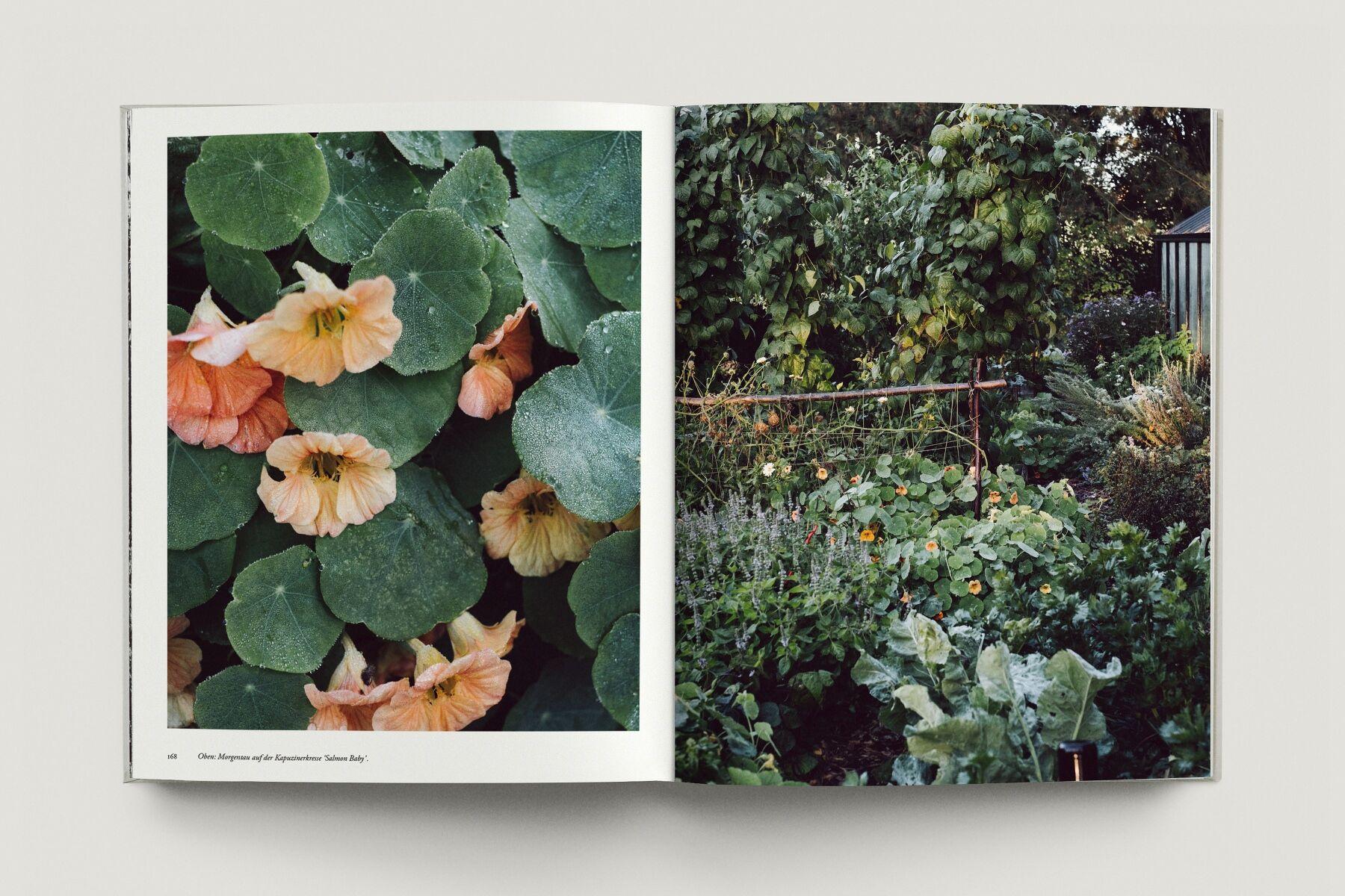 Beispielinhalt (Bild) Zu den Wiesen