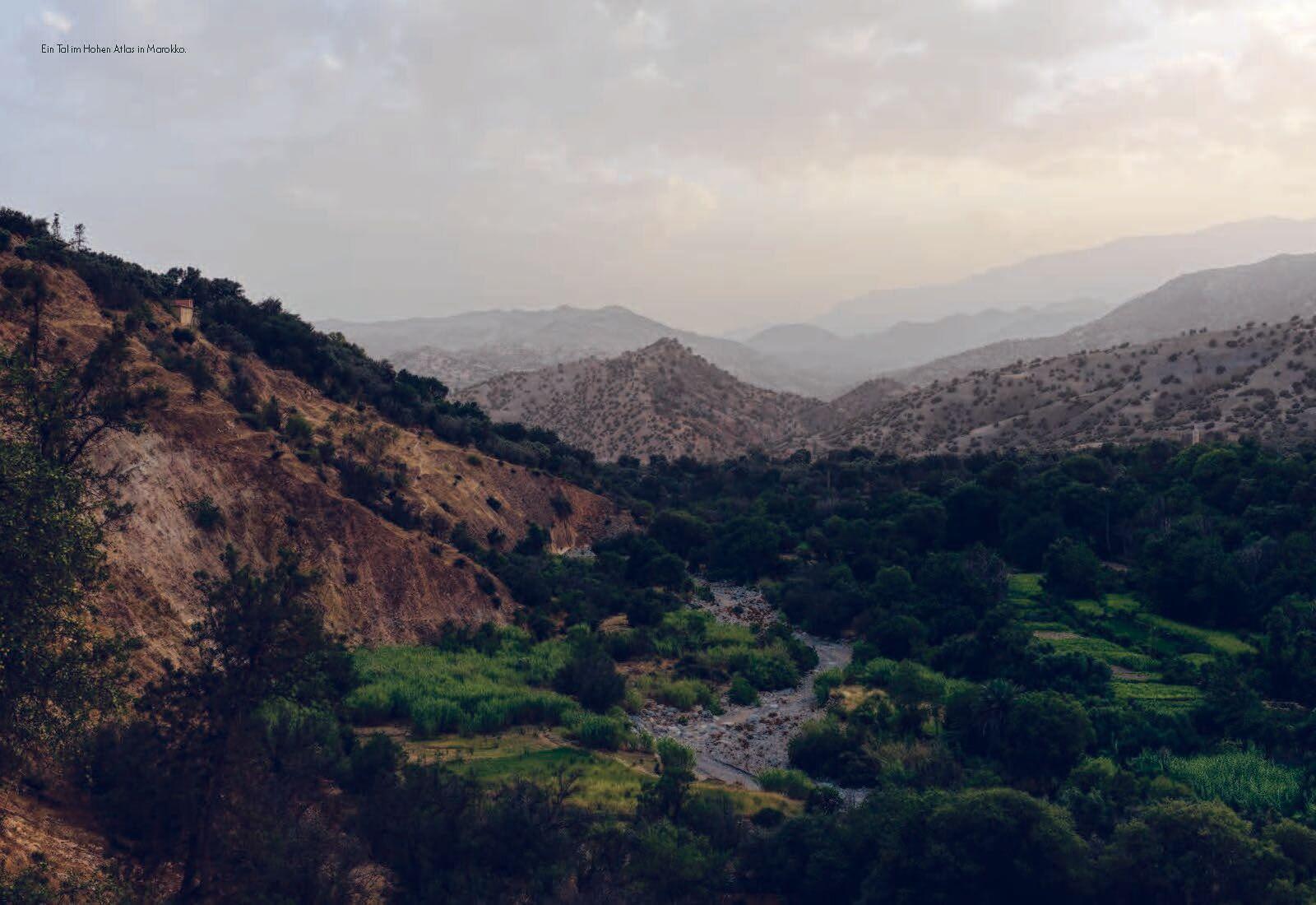 Beispielinhalt (Bild) Mountain Houses