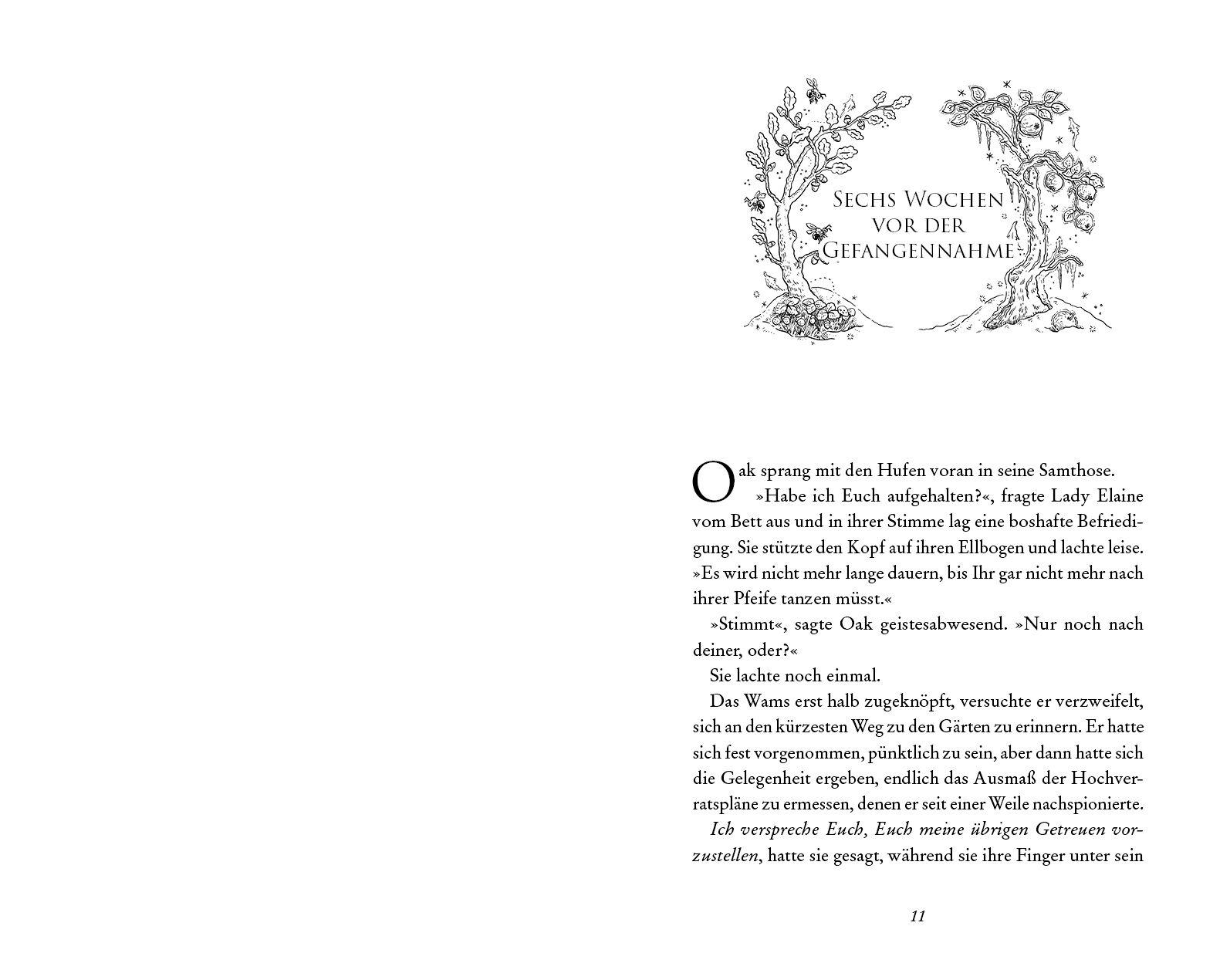 Beispielinhalt (Bild) Elfenerbe - Der gefangene Prinz