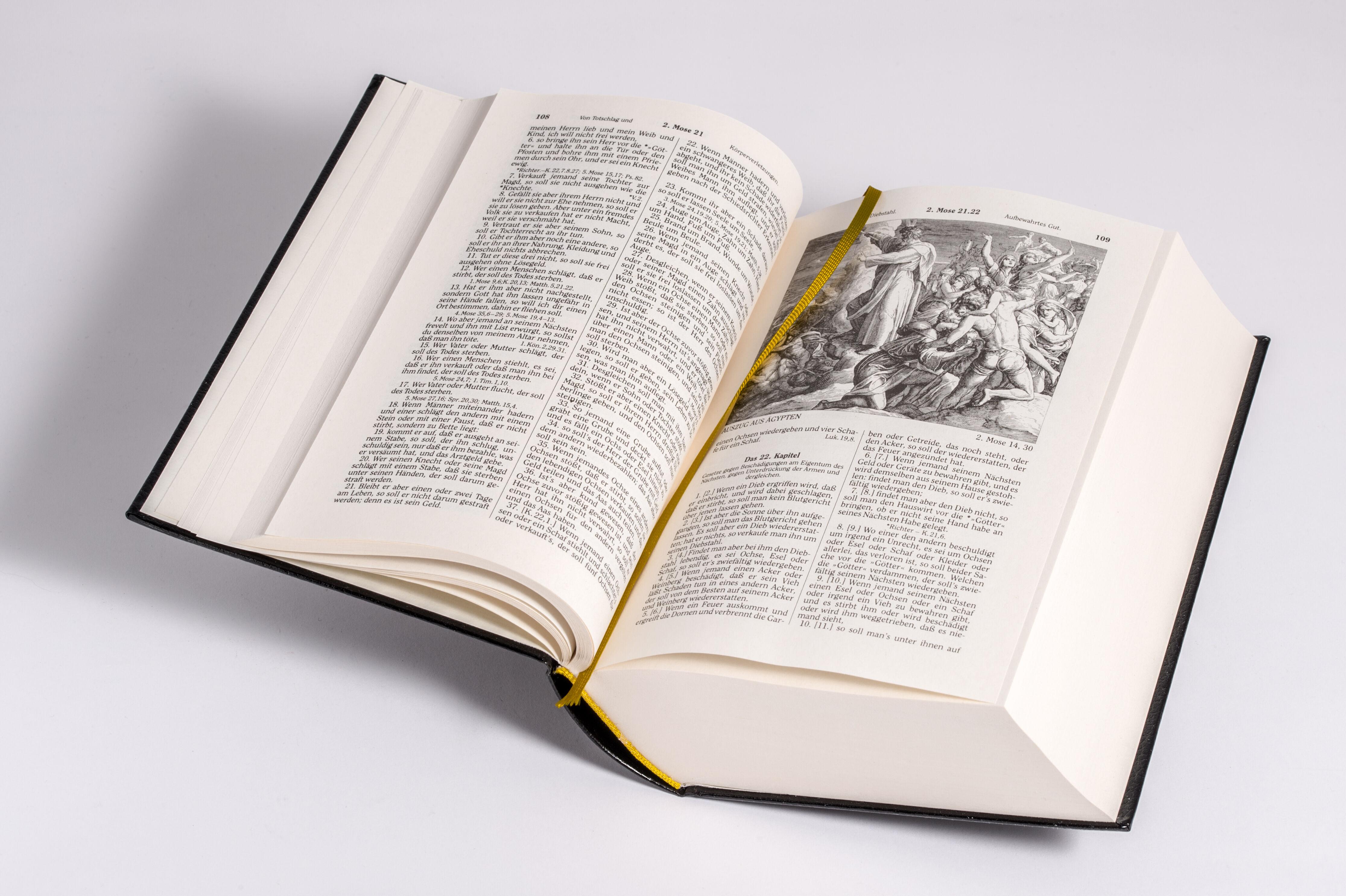 Beispielinhalt (Bild) Die Bibel - Altes und Neues Testament