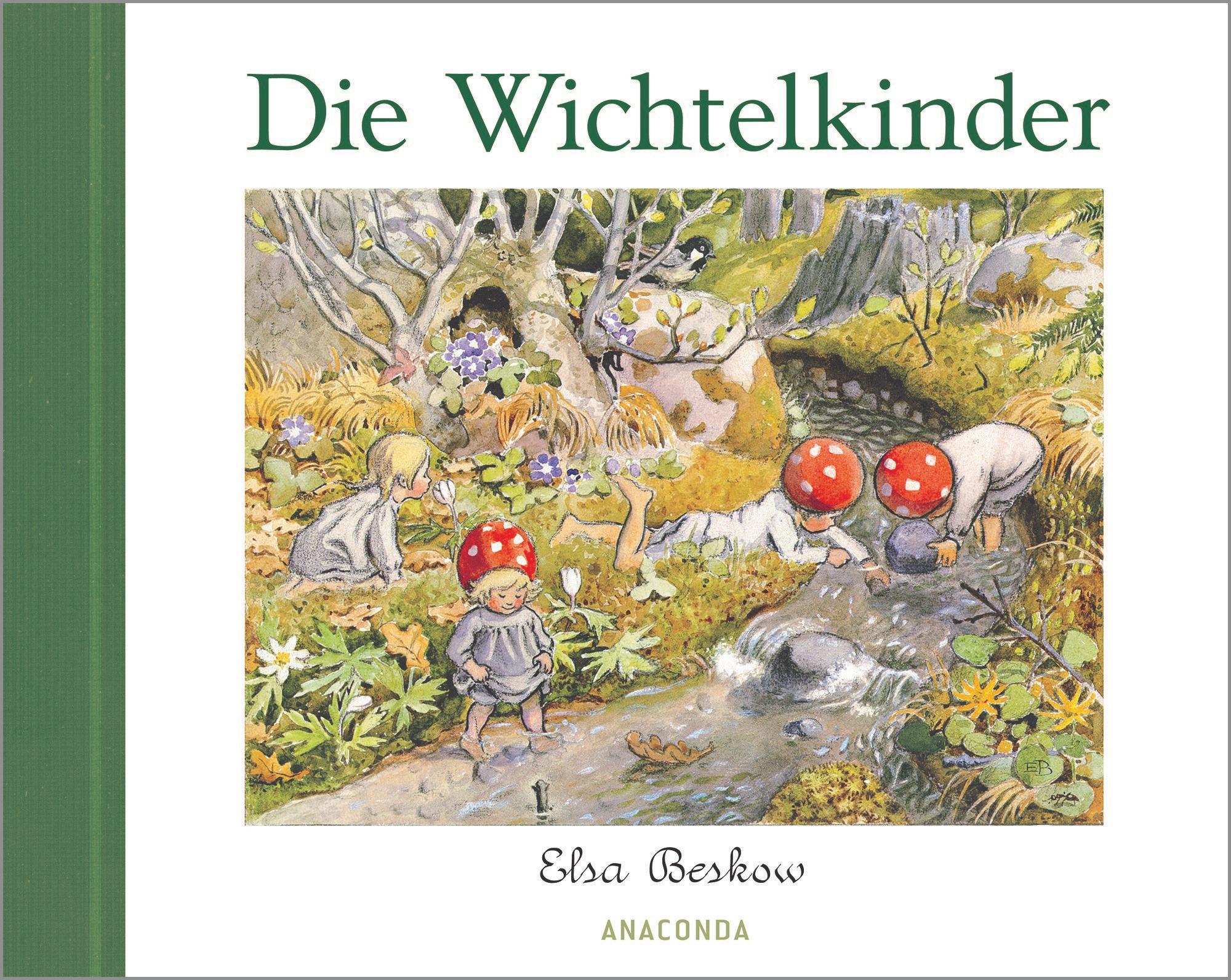 Vorderes Coverbild Die Wichtelkinder