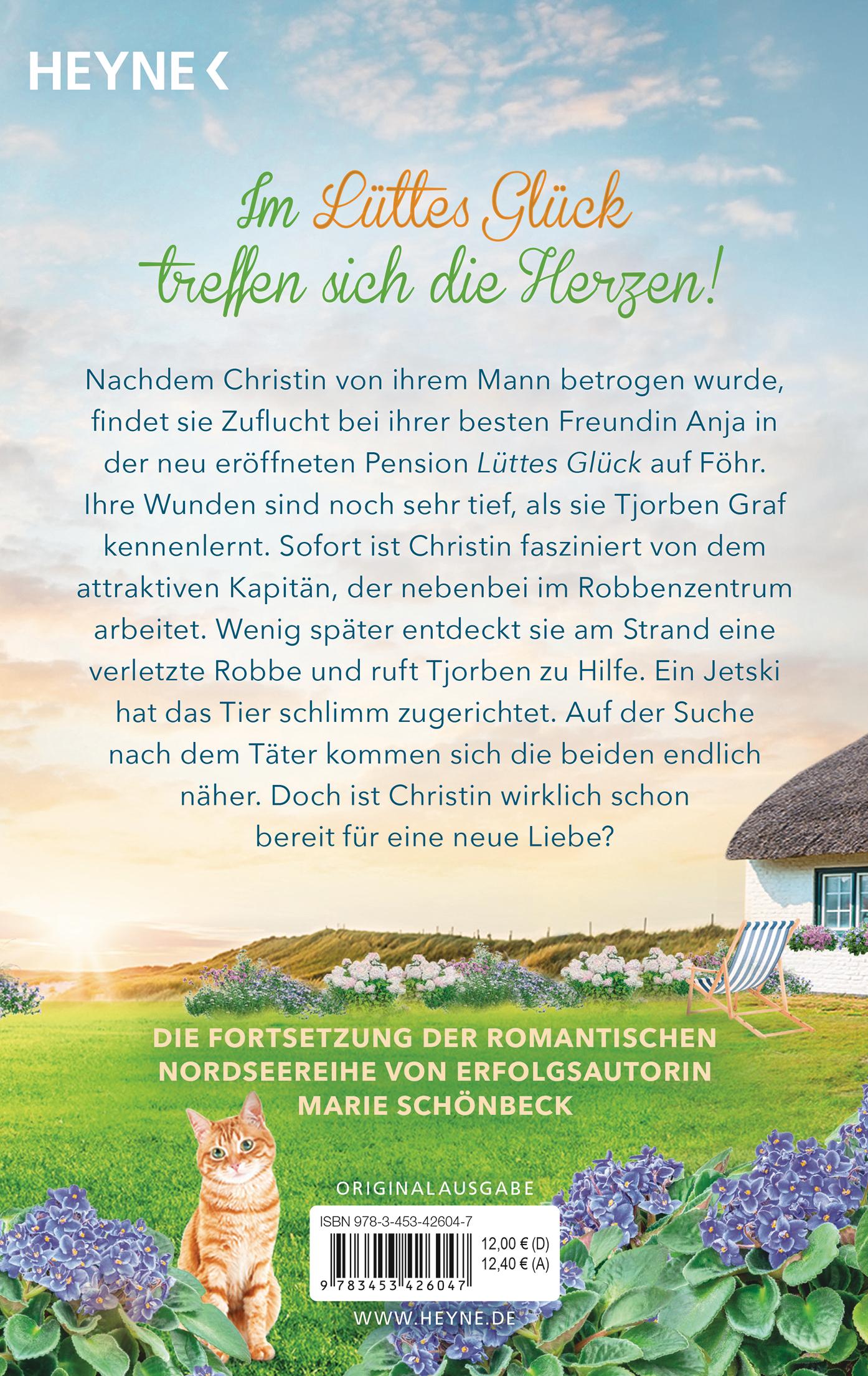 Beispielinhalt (Bild) Lüttes Glück - Ein Geheimnis am Nordseedeich