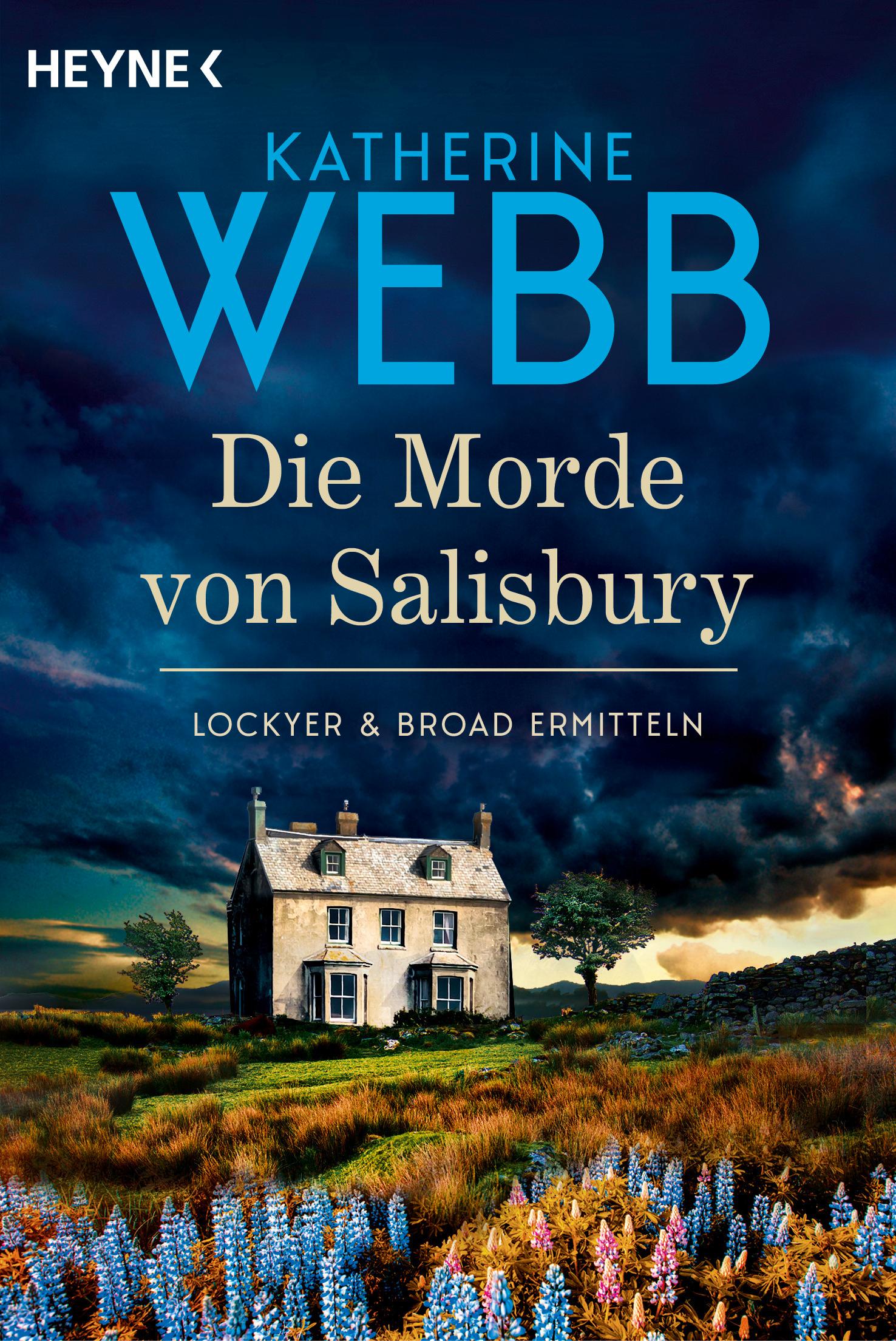 Vorderes Coverbild Die Morde von Salisbury