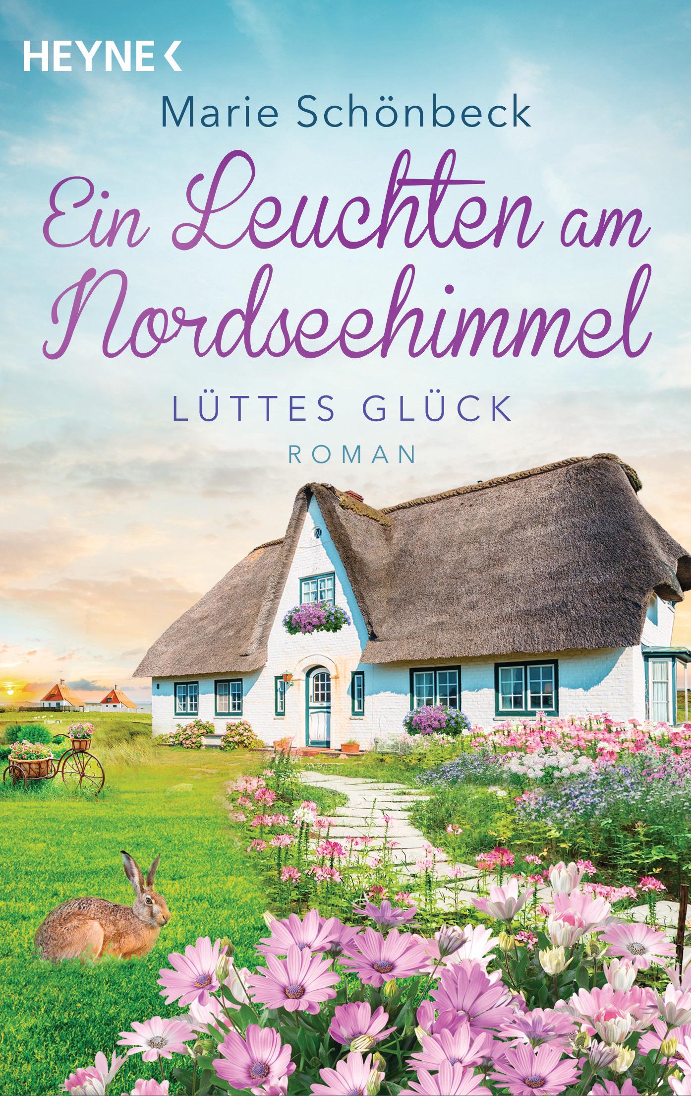 Vorderes Coverbild Lüttes Glück - Ein Leuchten am Nordseehimmel