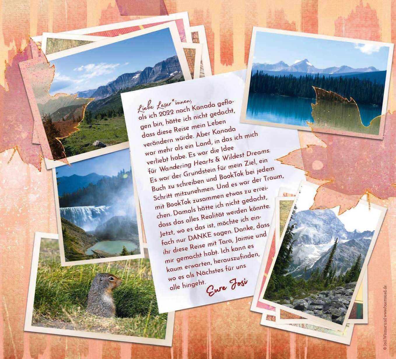 Beispielinhalt (Bild) Wildest Dreams